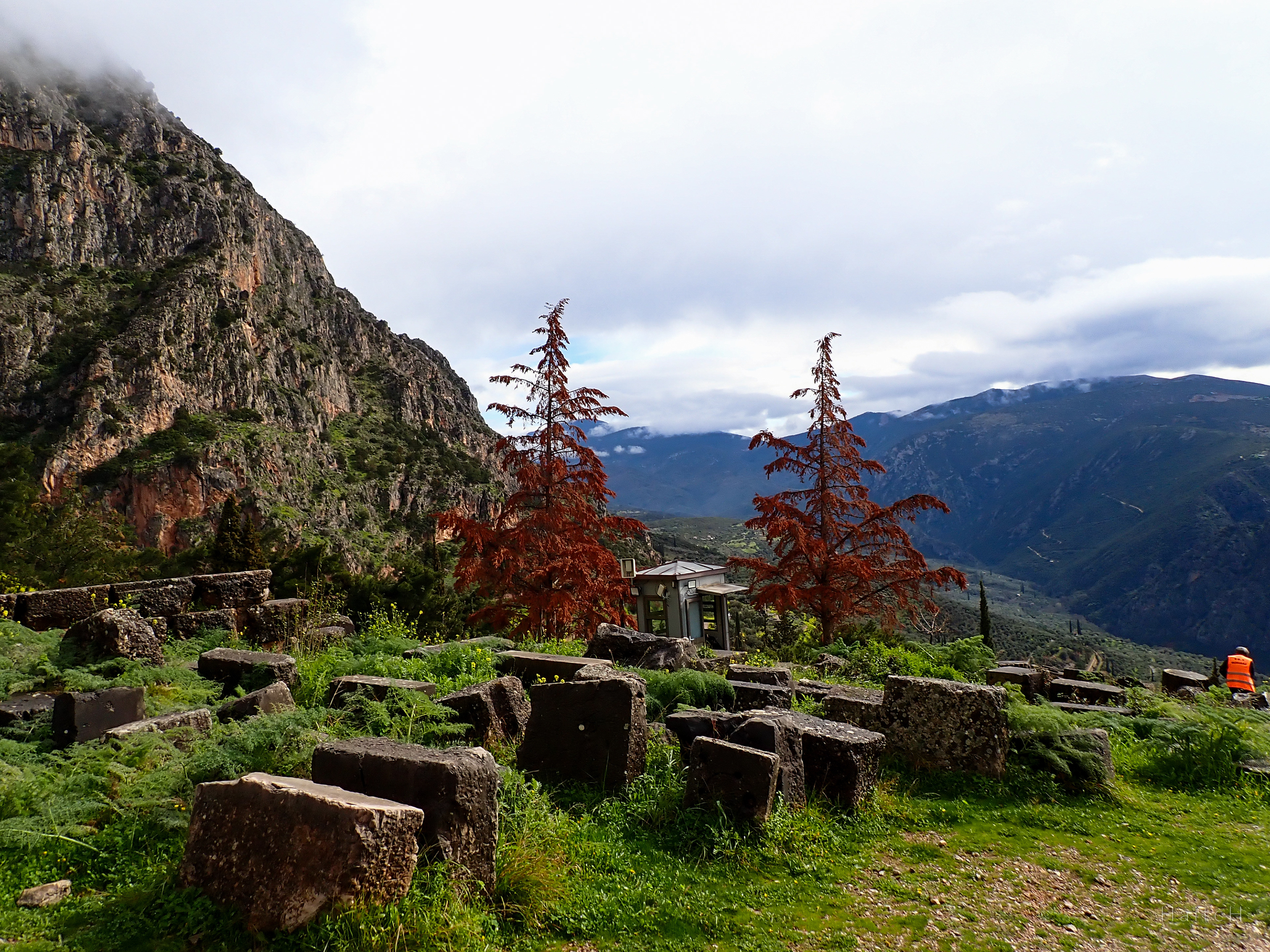 Red Tree Among the Stones, Delphi