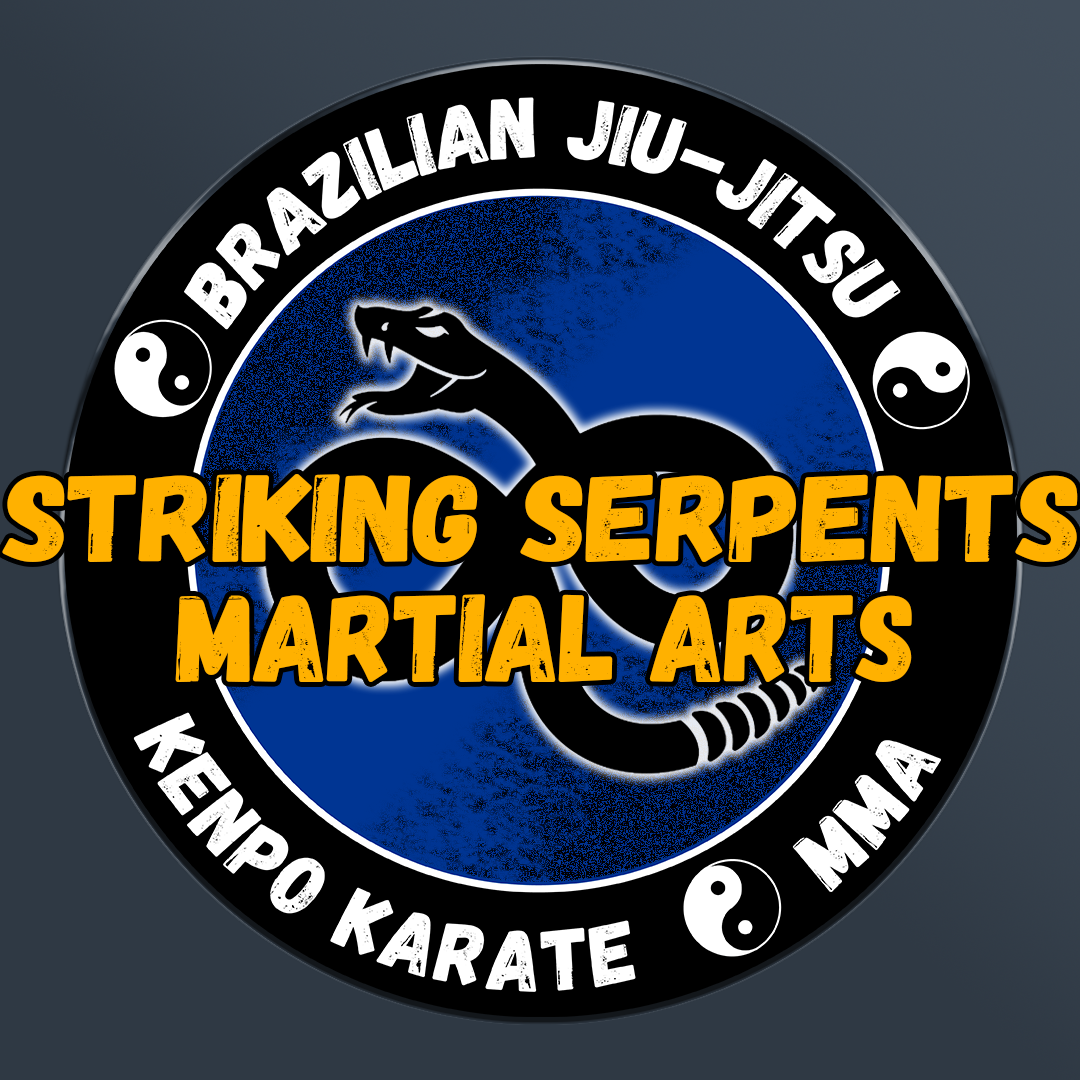 Dojo Concept Design 1.1