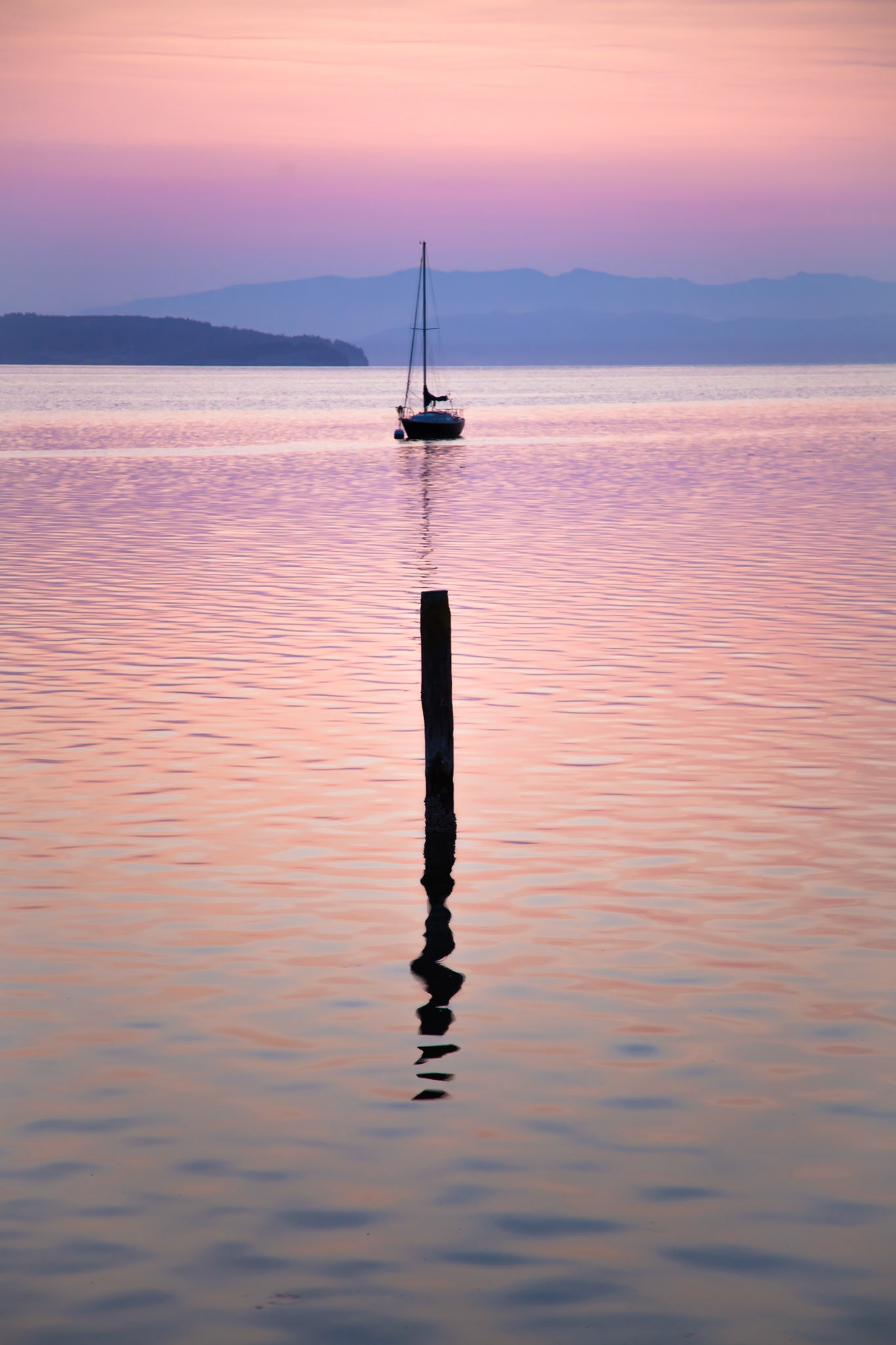 Dolphin and Sailboat