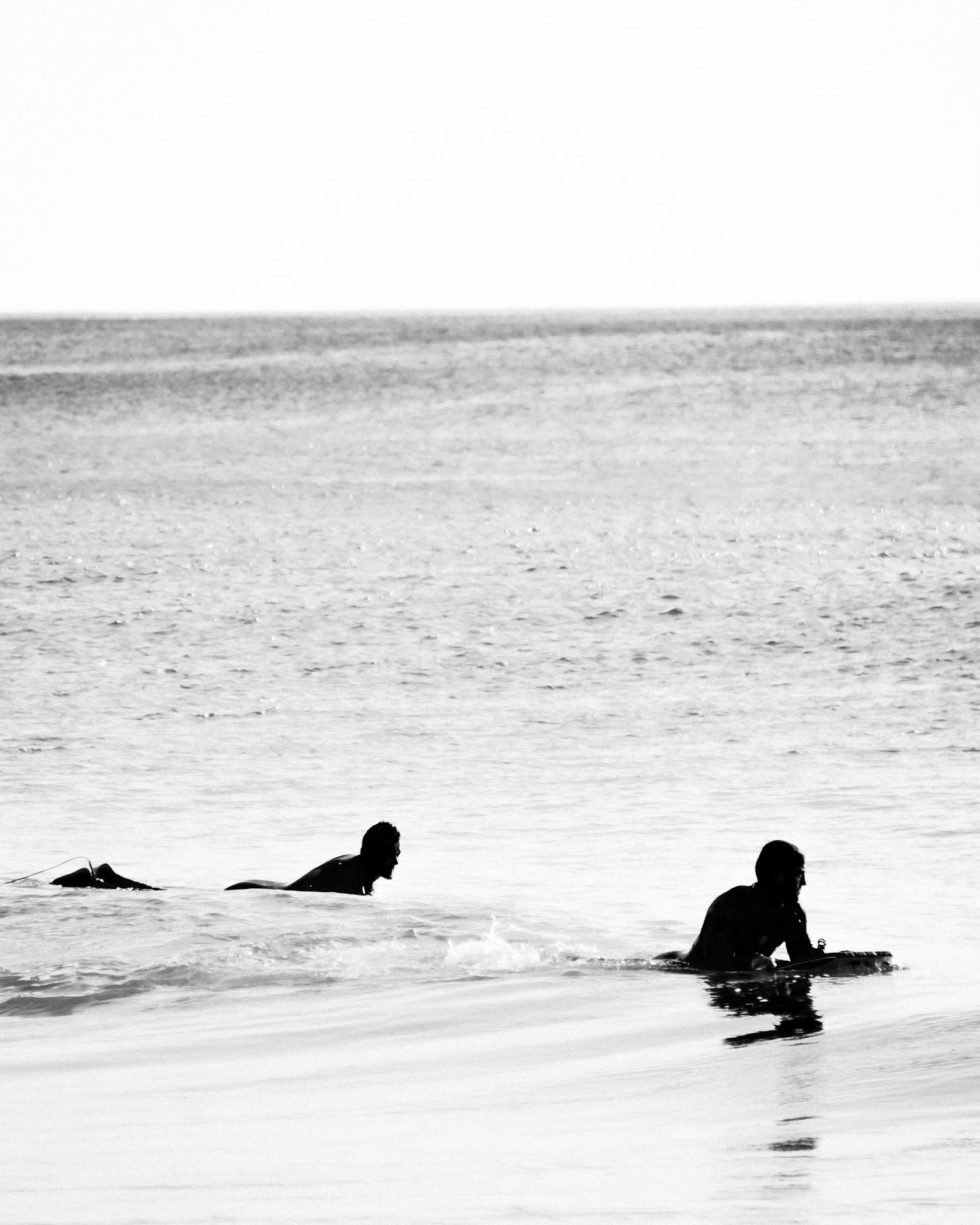 two surfers peddling to catch a wave