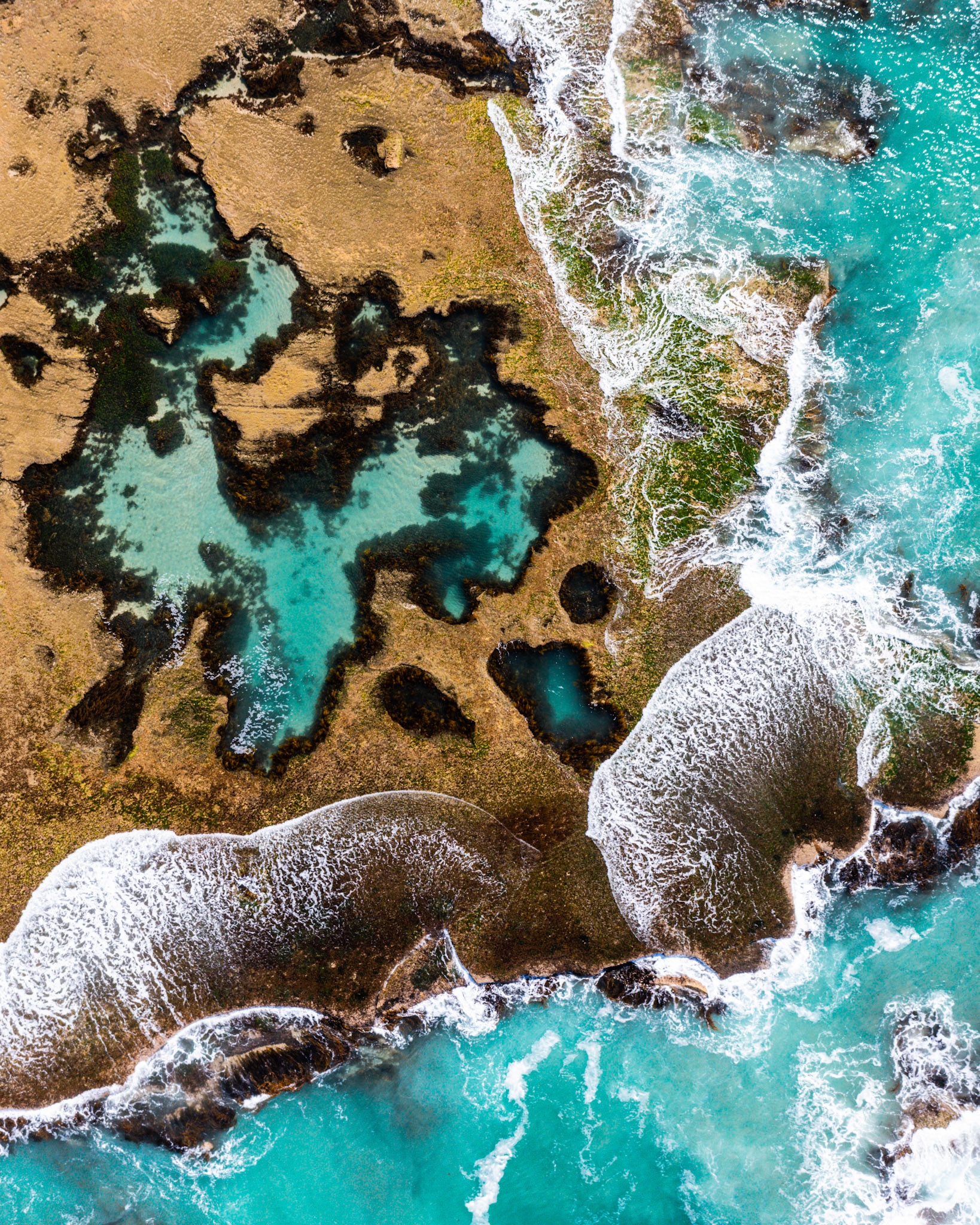 top-down drone view of rockpools at sorrento ocean beach victoria australia