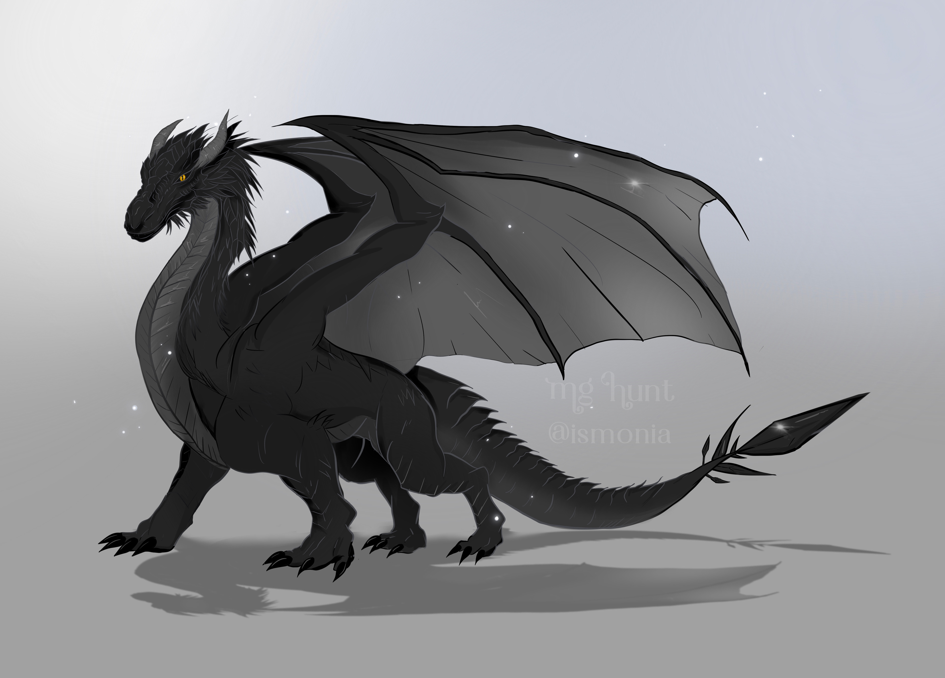 Ameria (black dragon) for author Chloe O'Connor.