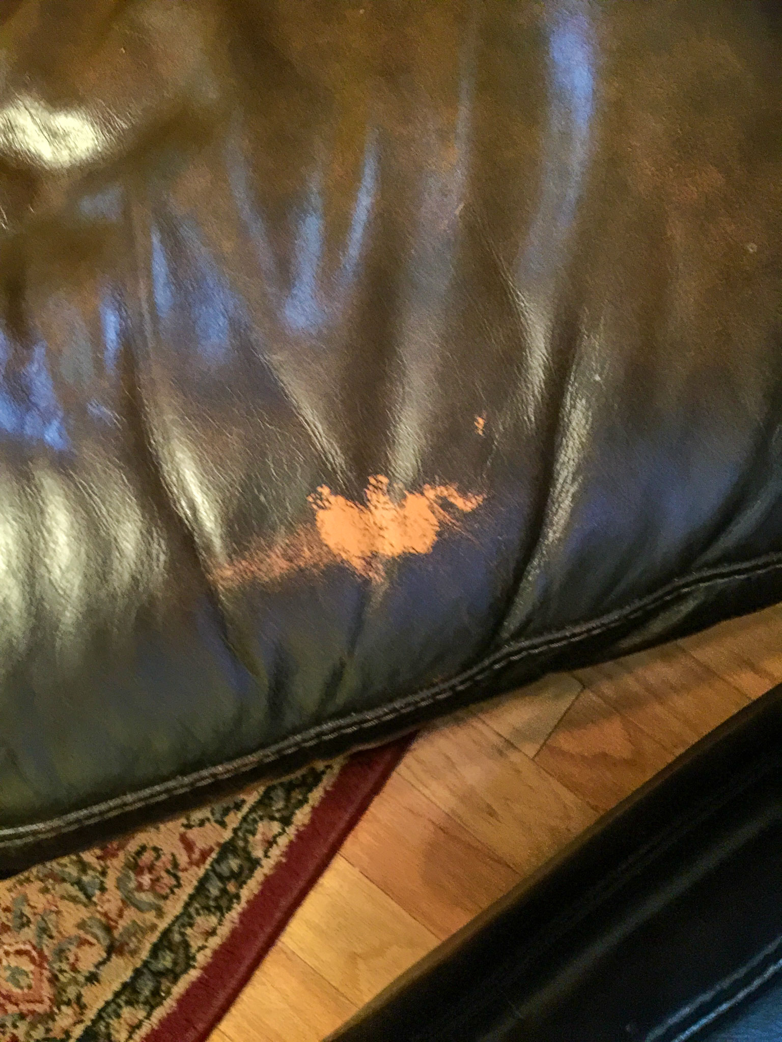 Leather Pigment After