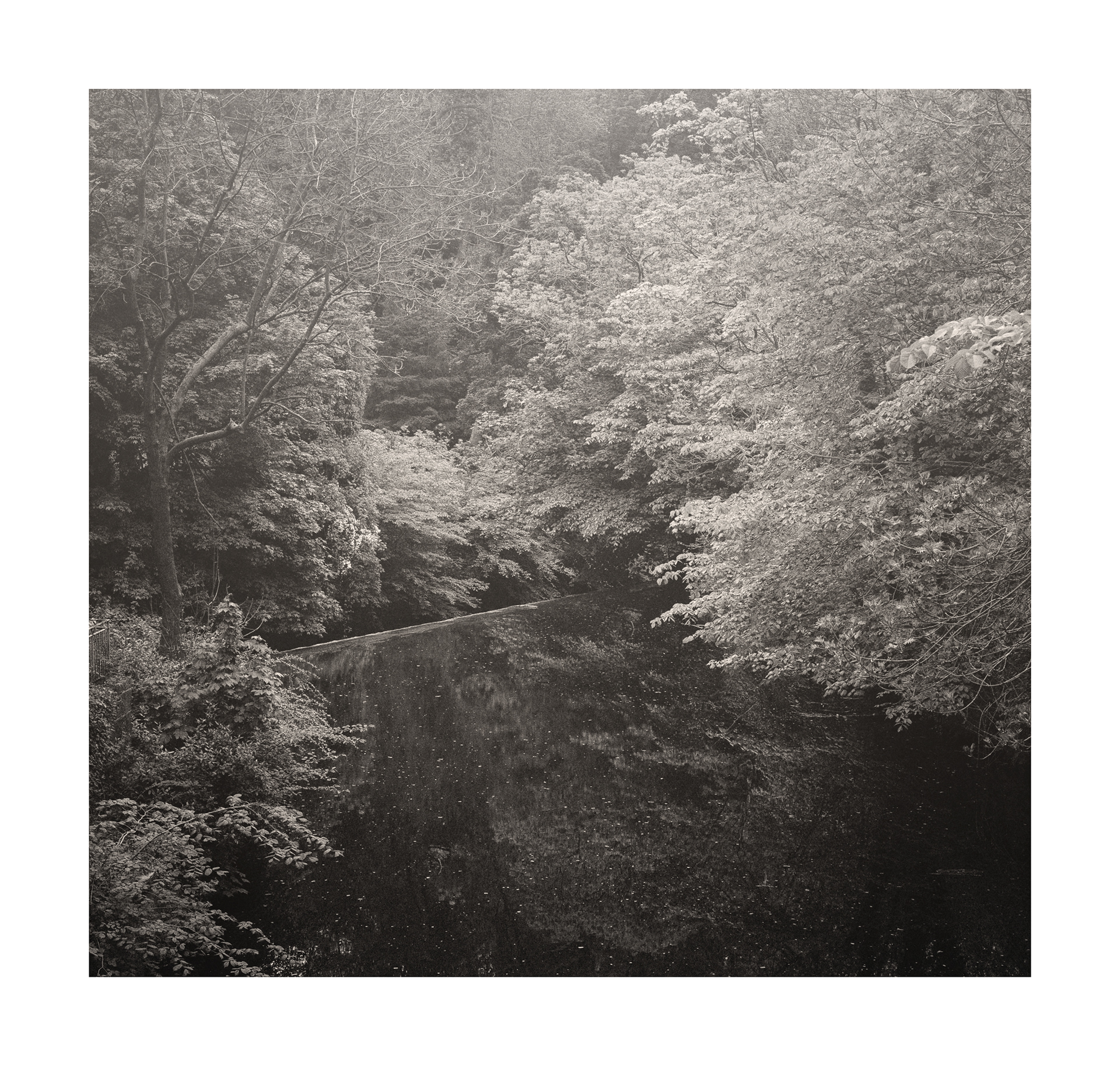 Fine Art Photograph by Colin Ironside Homes entitled "Soft Light" Edinburgh