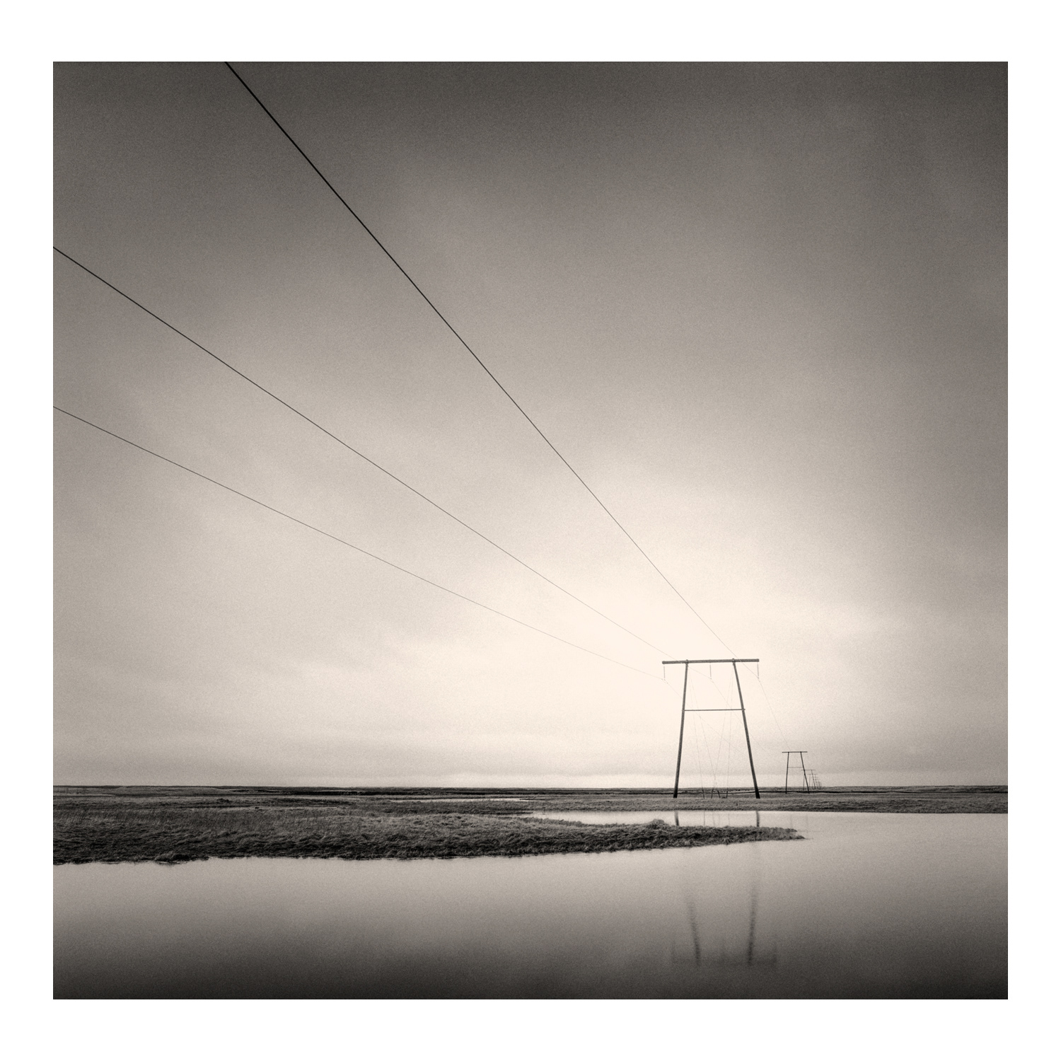 Black and white photograph of Icelandic telegraph poles stretching across flooded moorland