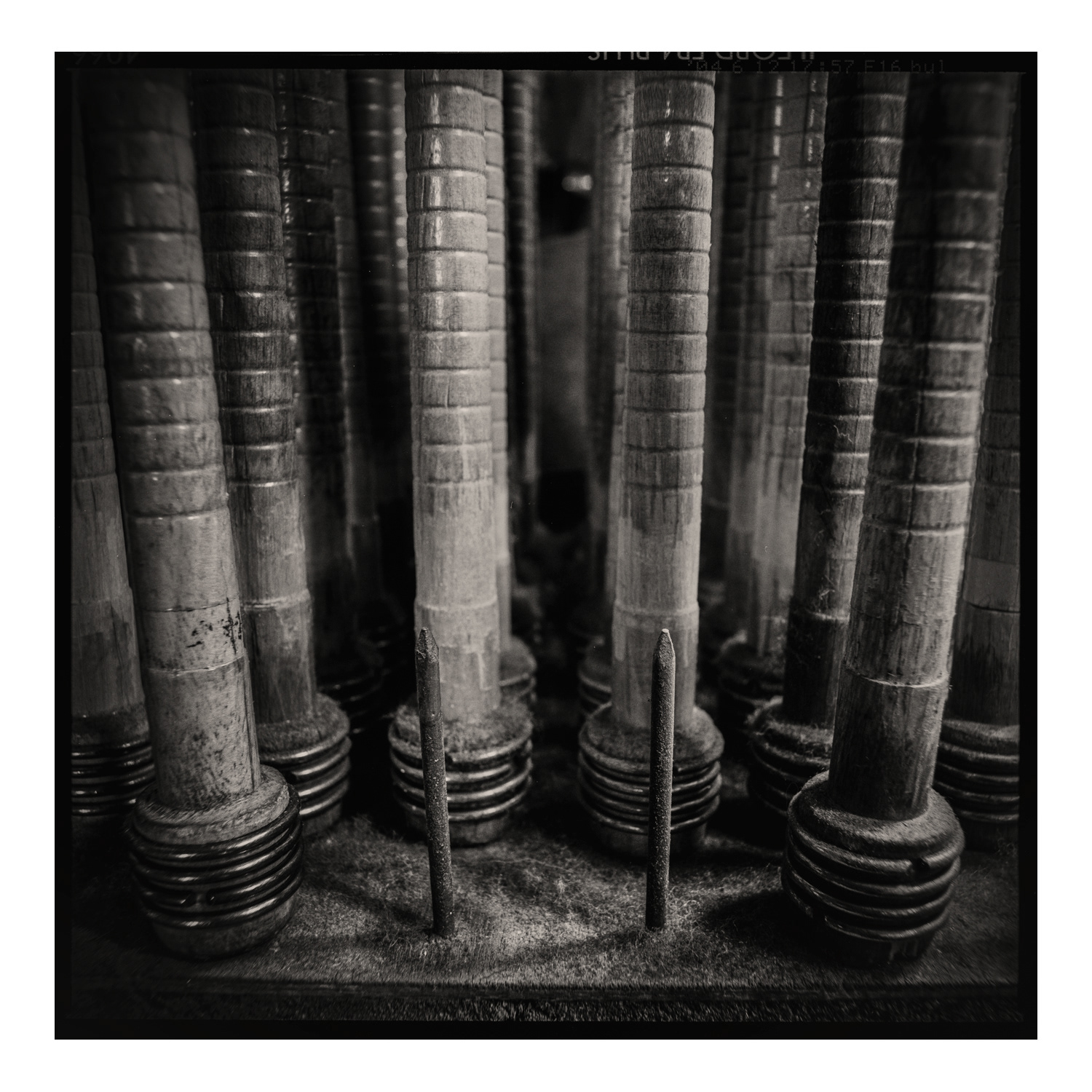 Fine Art Photograph by Colin Ironside Homes entitled "Bobbins" Dornoch