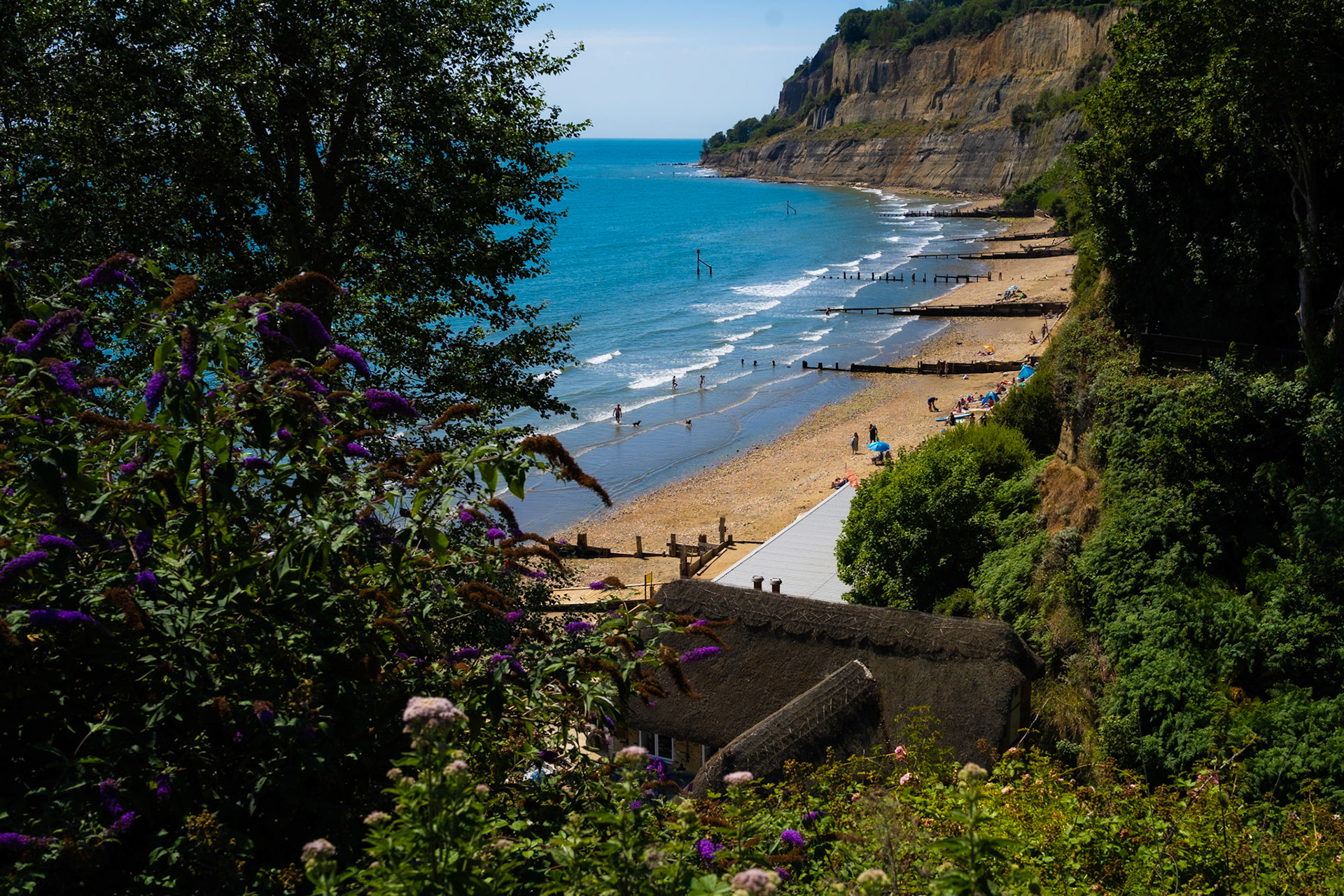 IOW - Shanklin Chine