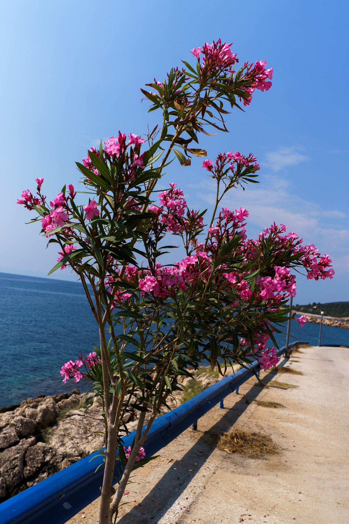 Skala Maries - just outside the village