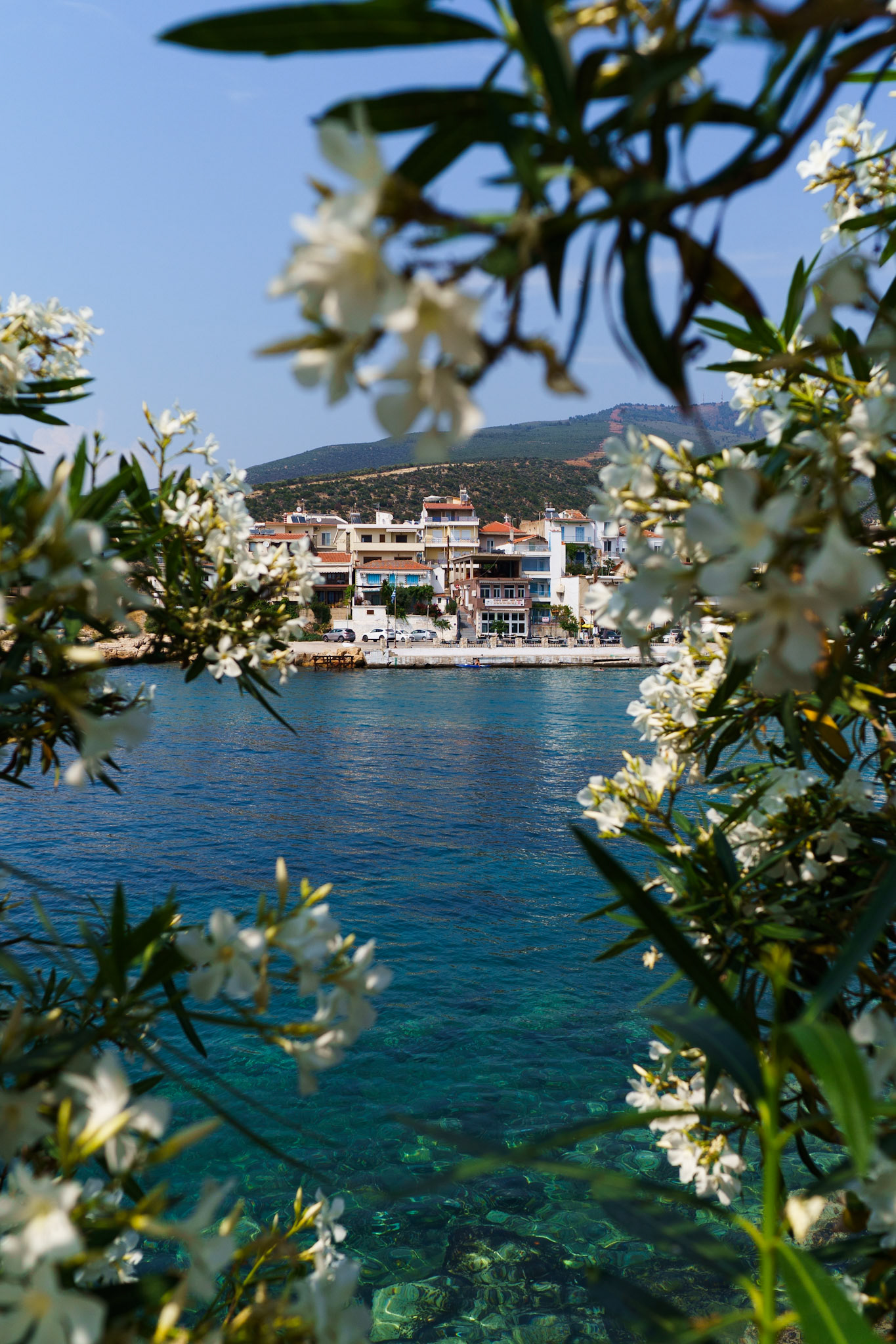 Skala Maries- The Bakery