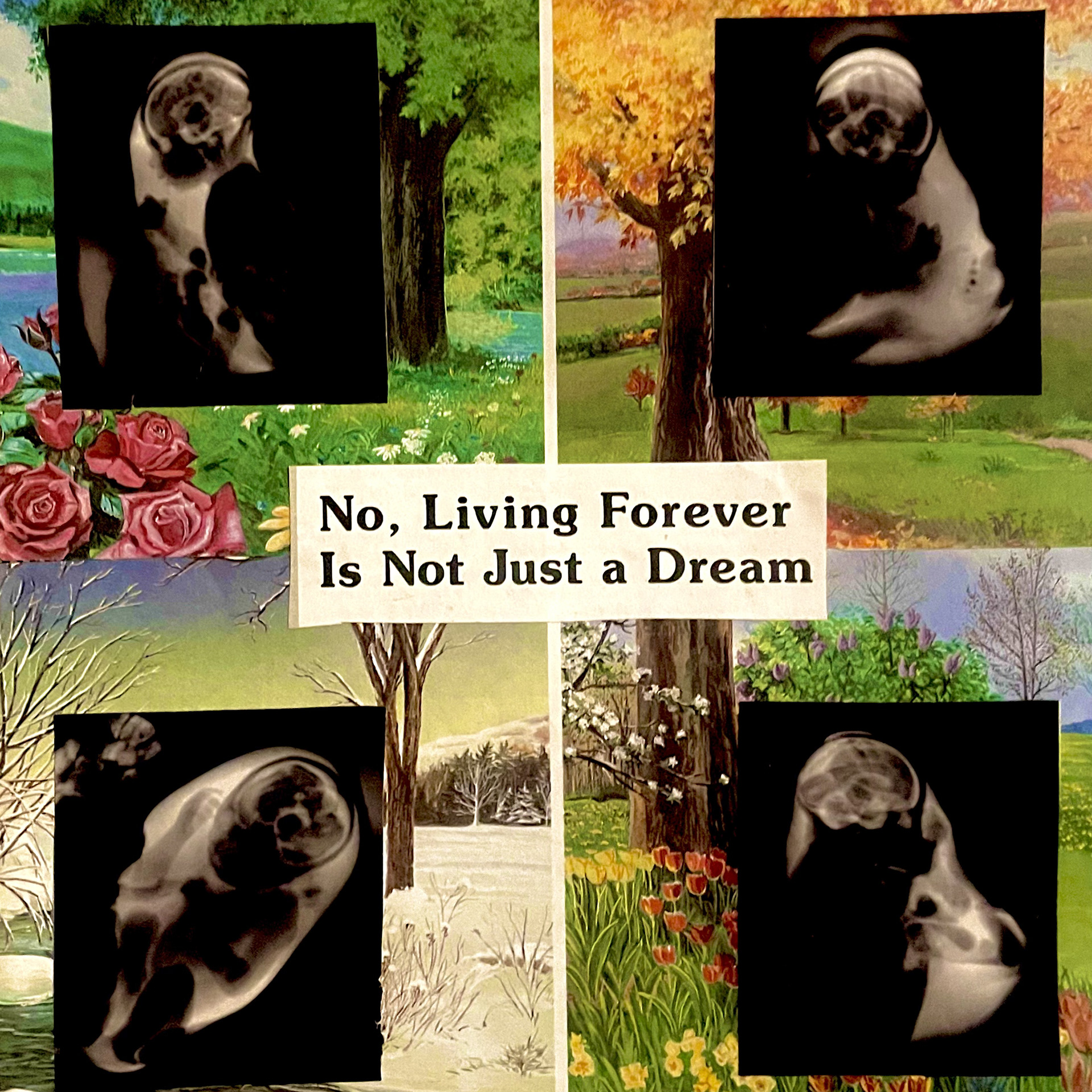 The Four Seasons