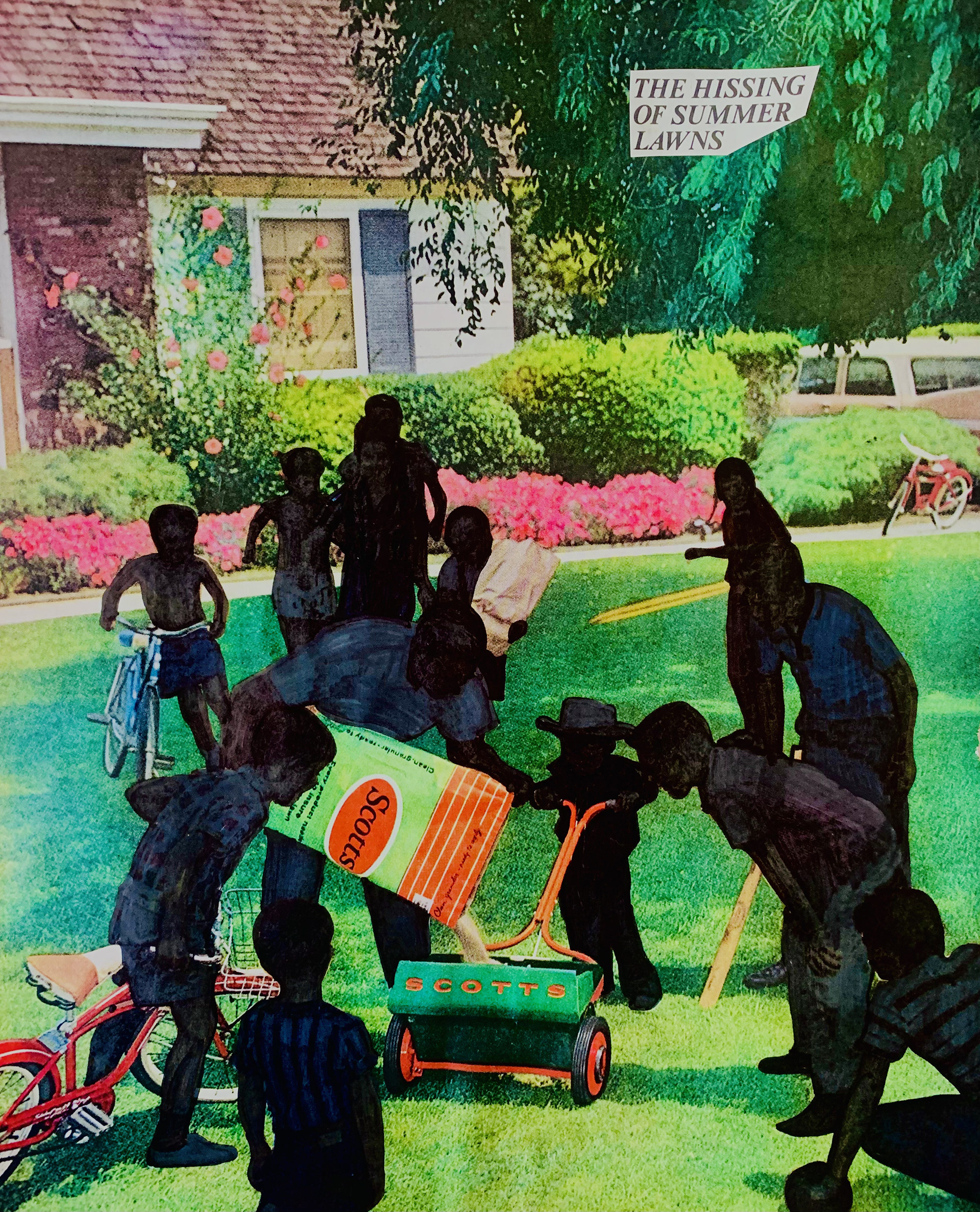 Summer Lawns