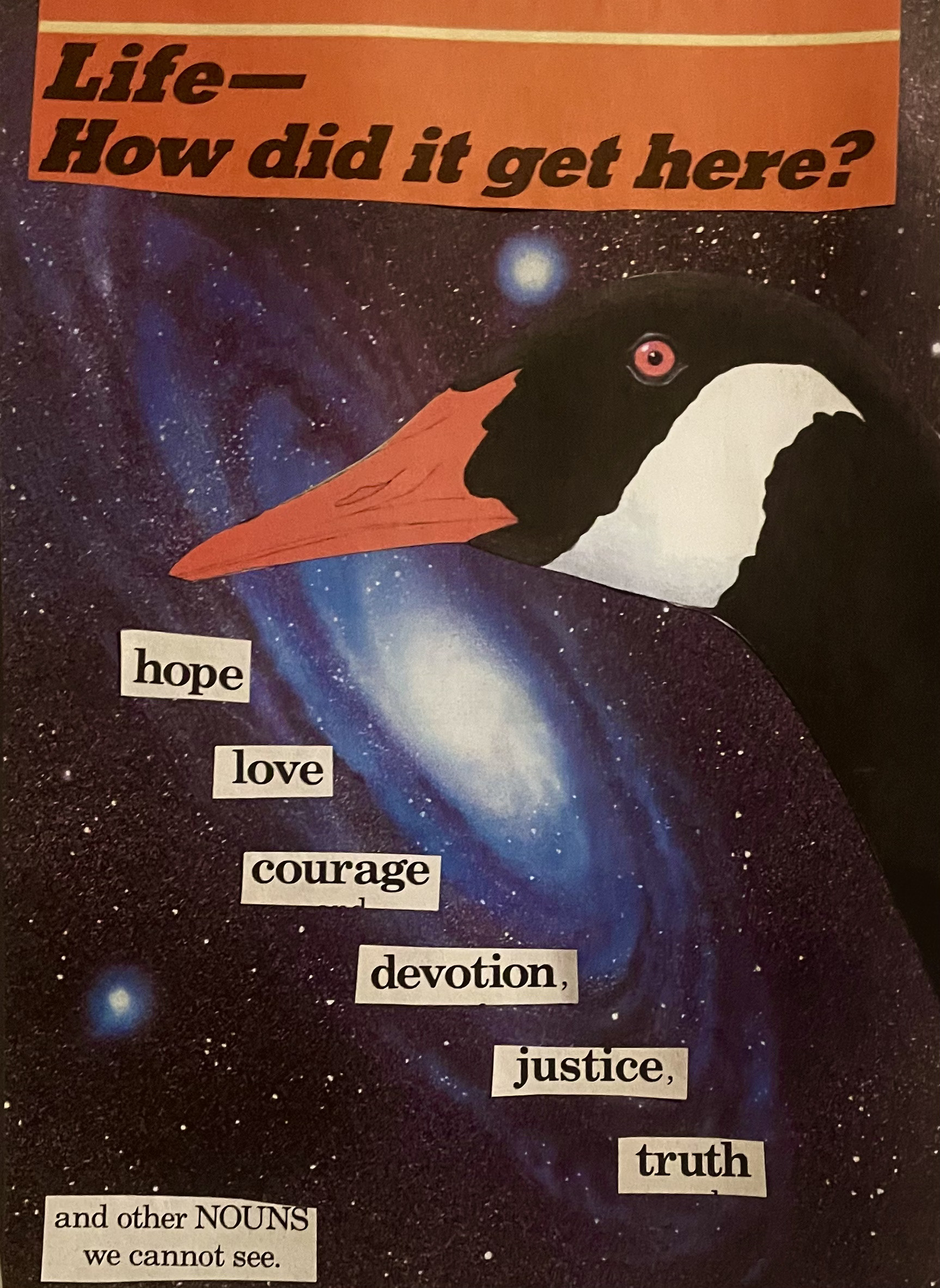 The All-Knowing Goose