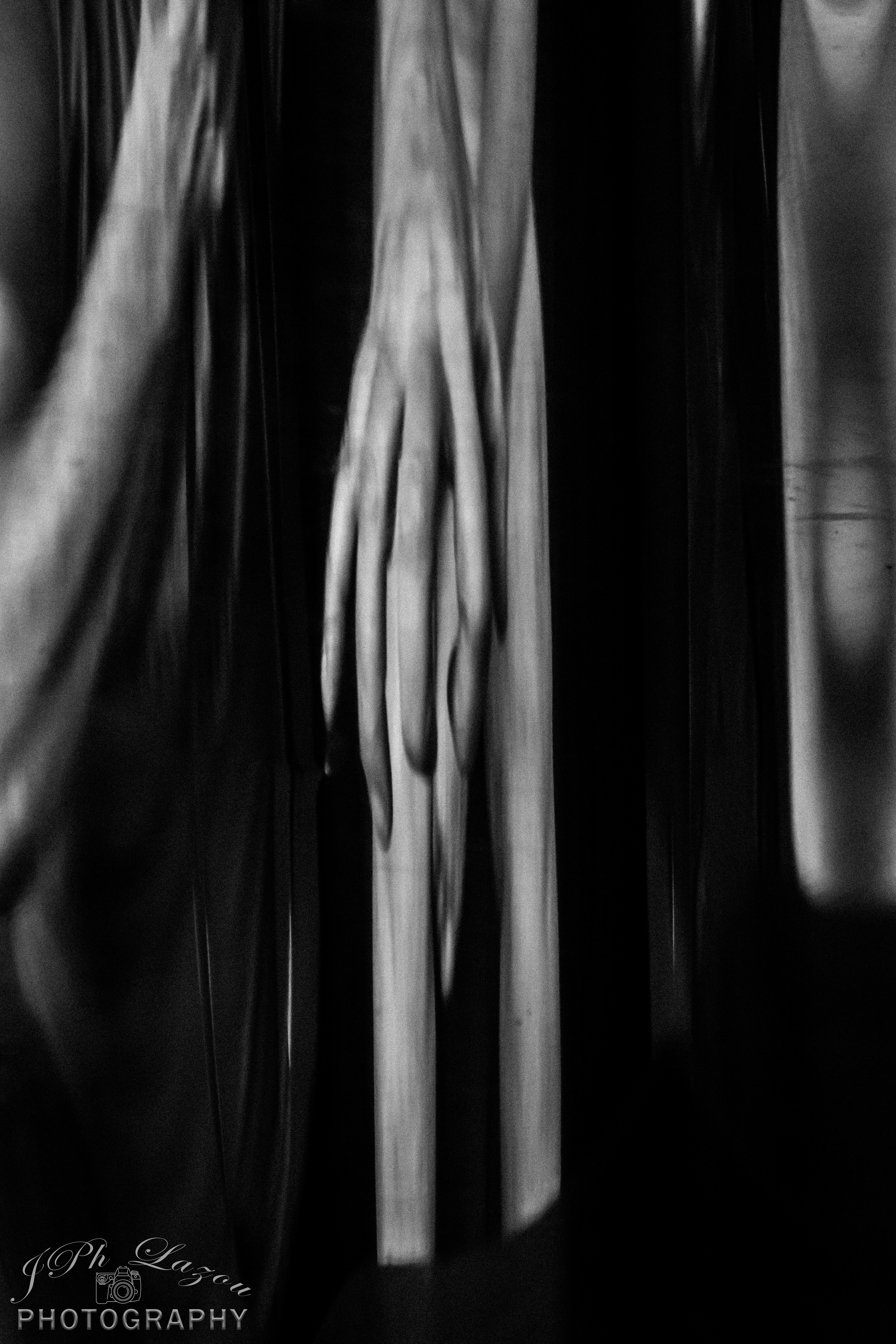Distortions, the hand series
