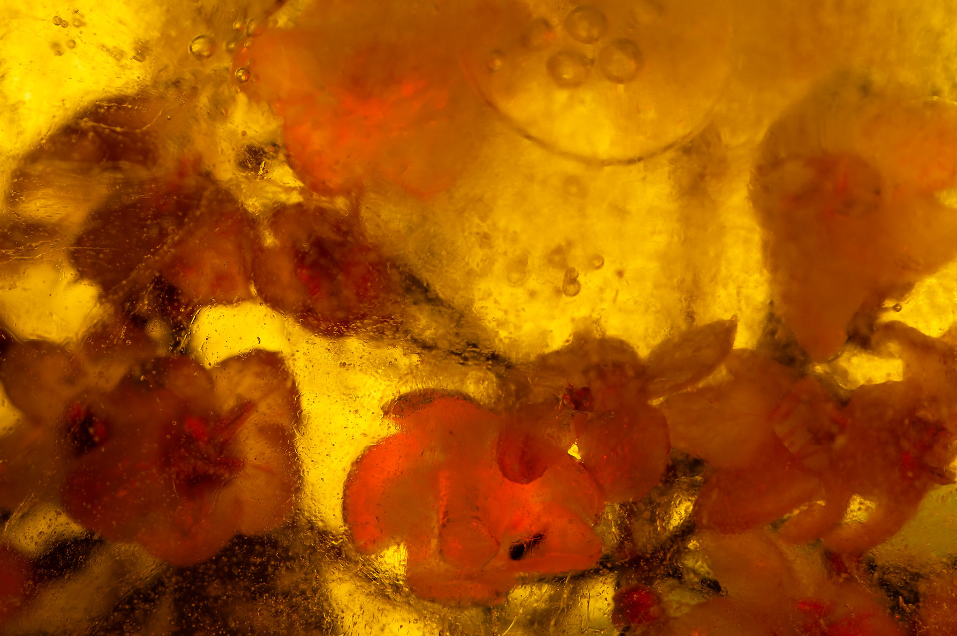 Flowers, locked in 