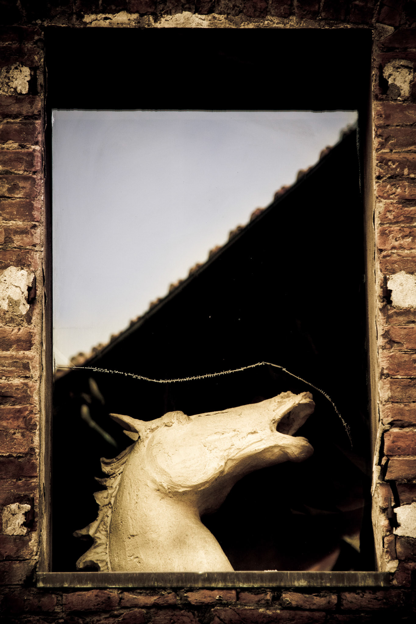 Siena Horse Window Art