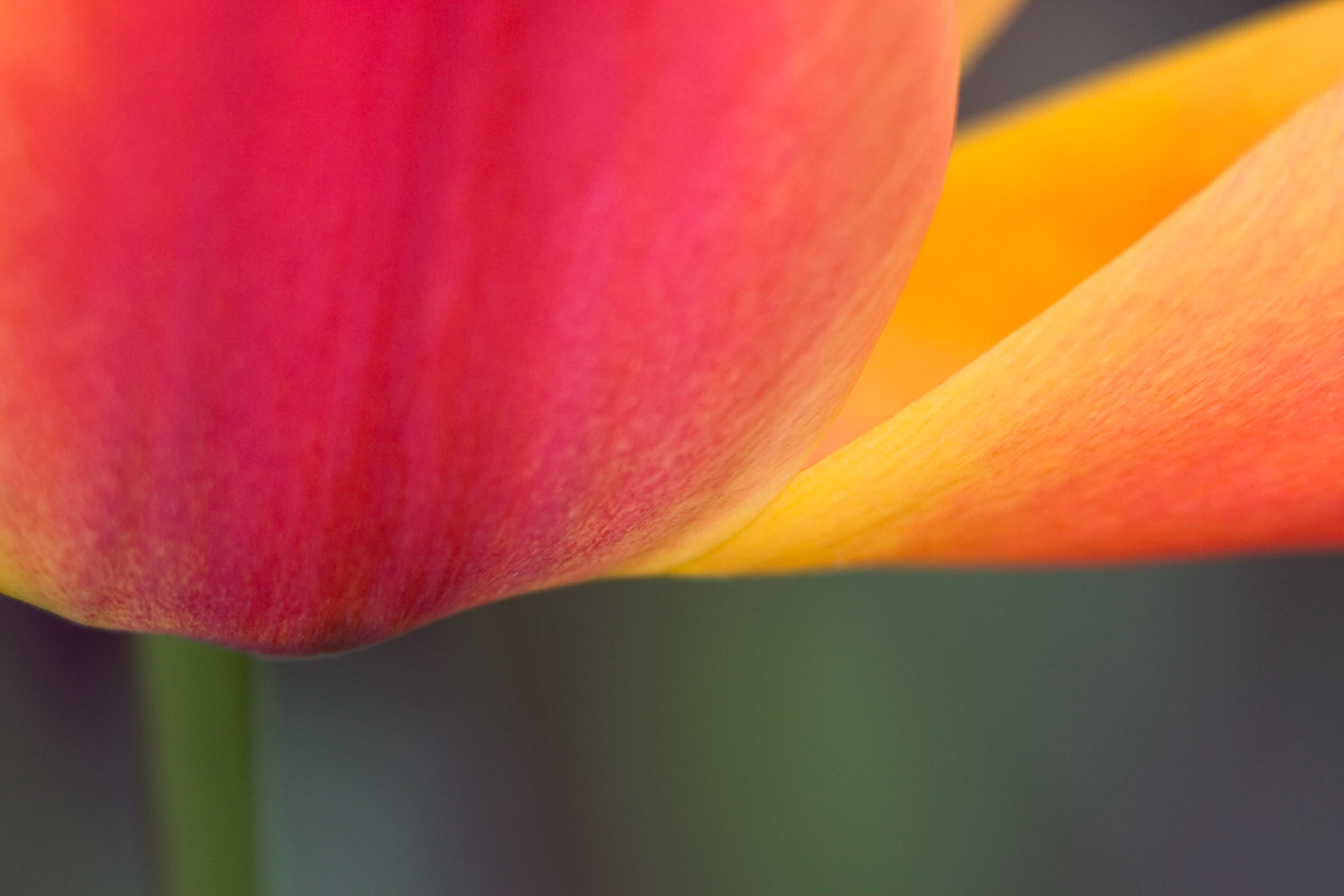 Gradually Peeling Away