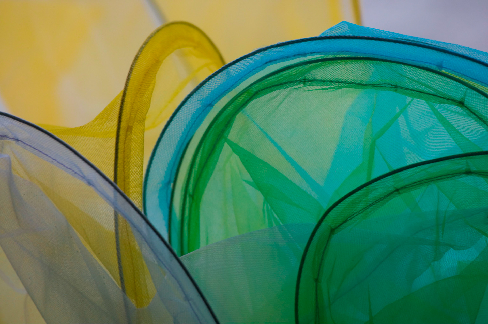 Butterfly Nets in Cape May