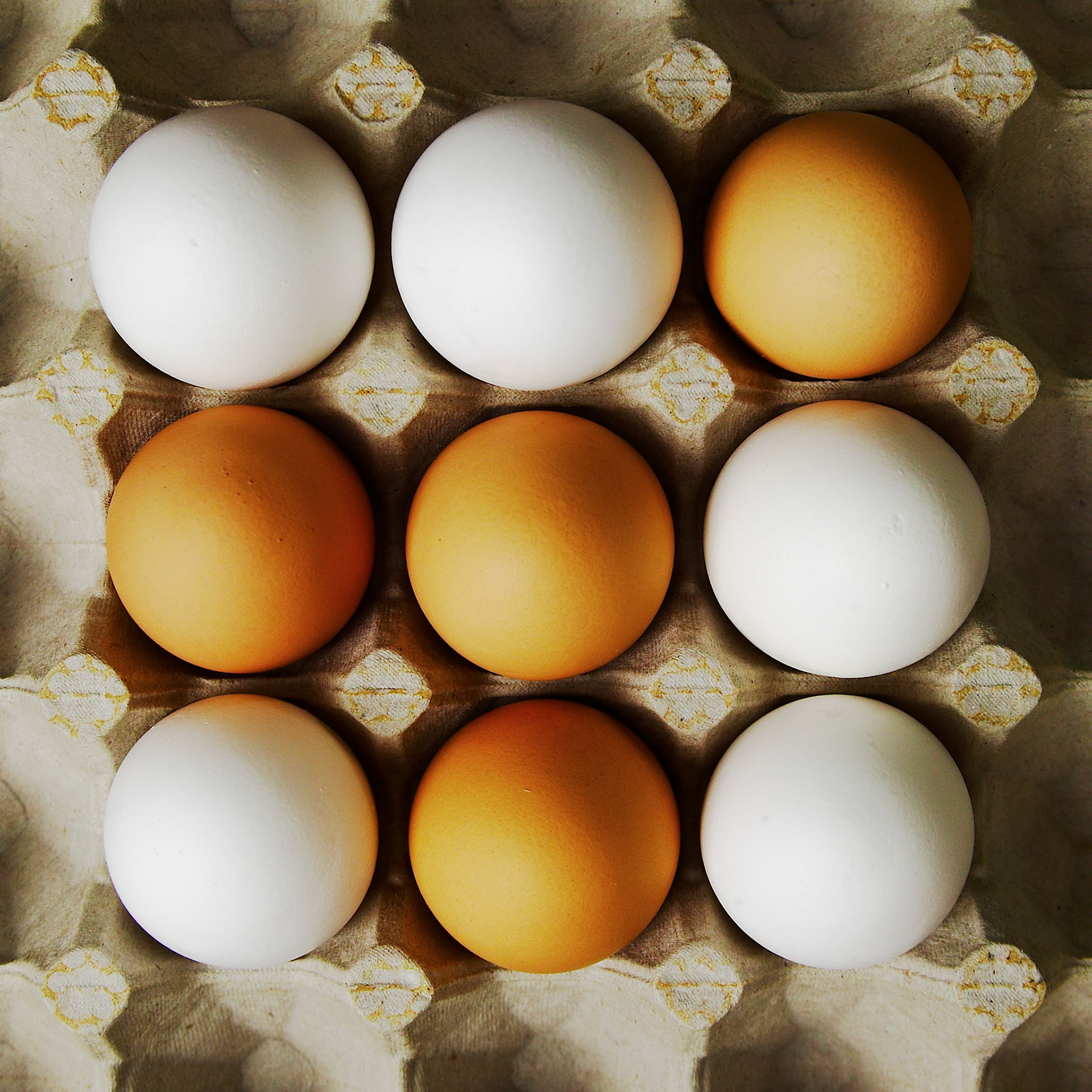Egg Tac Toe

It's a draw...

(But I #love eggs)