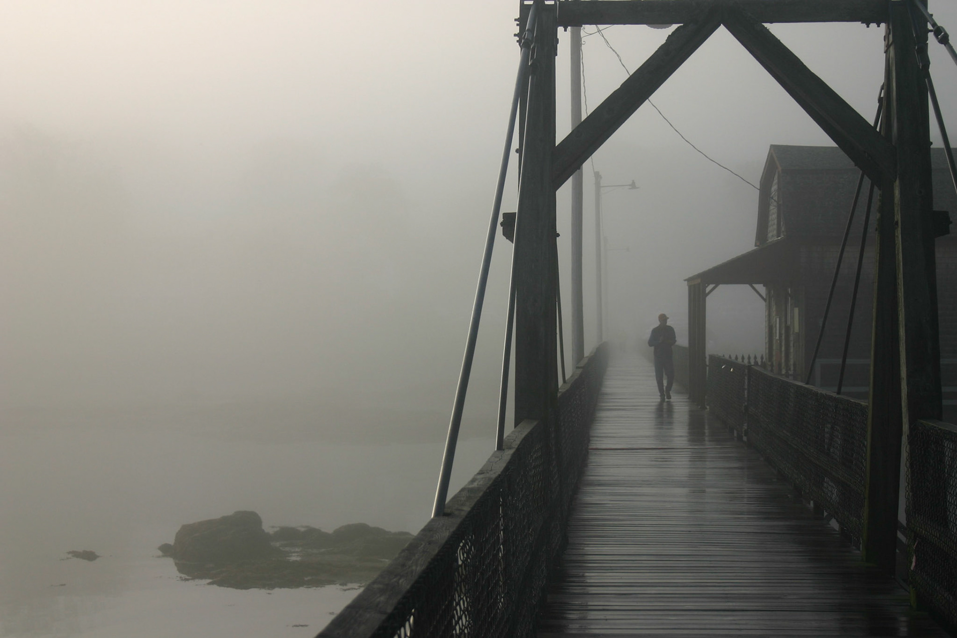 Evening Fog
