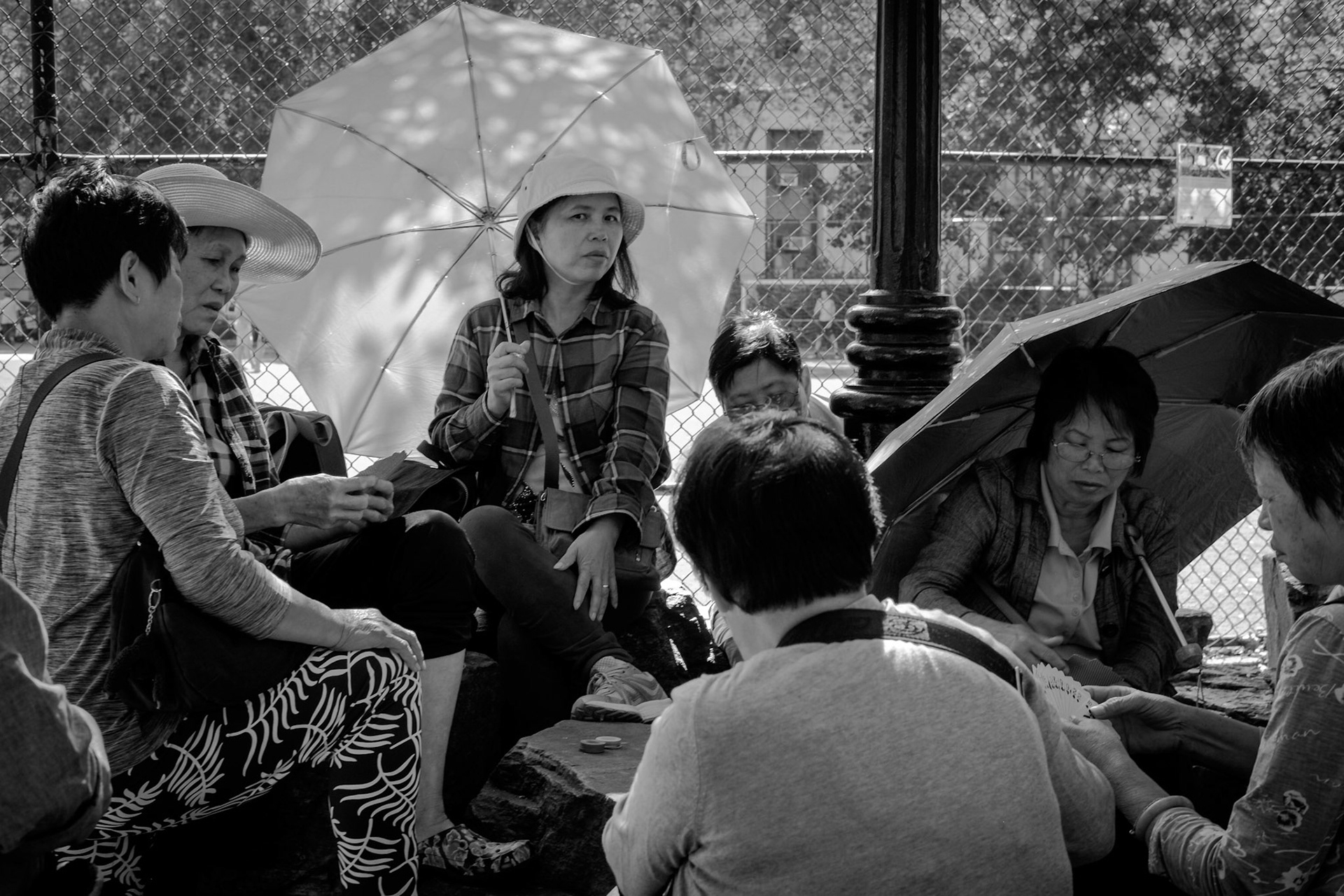 Umbrellas, Chinatown