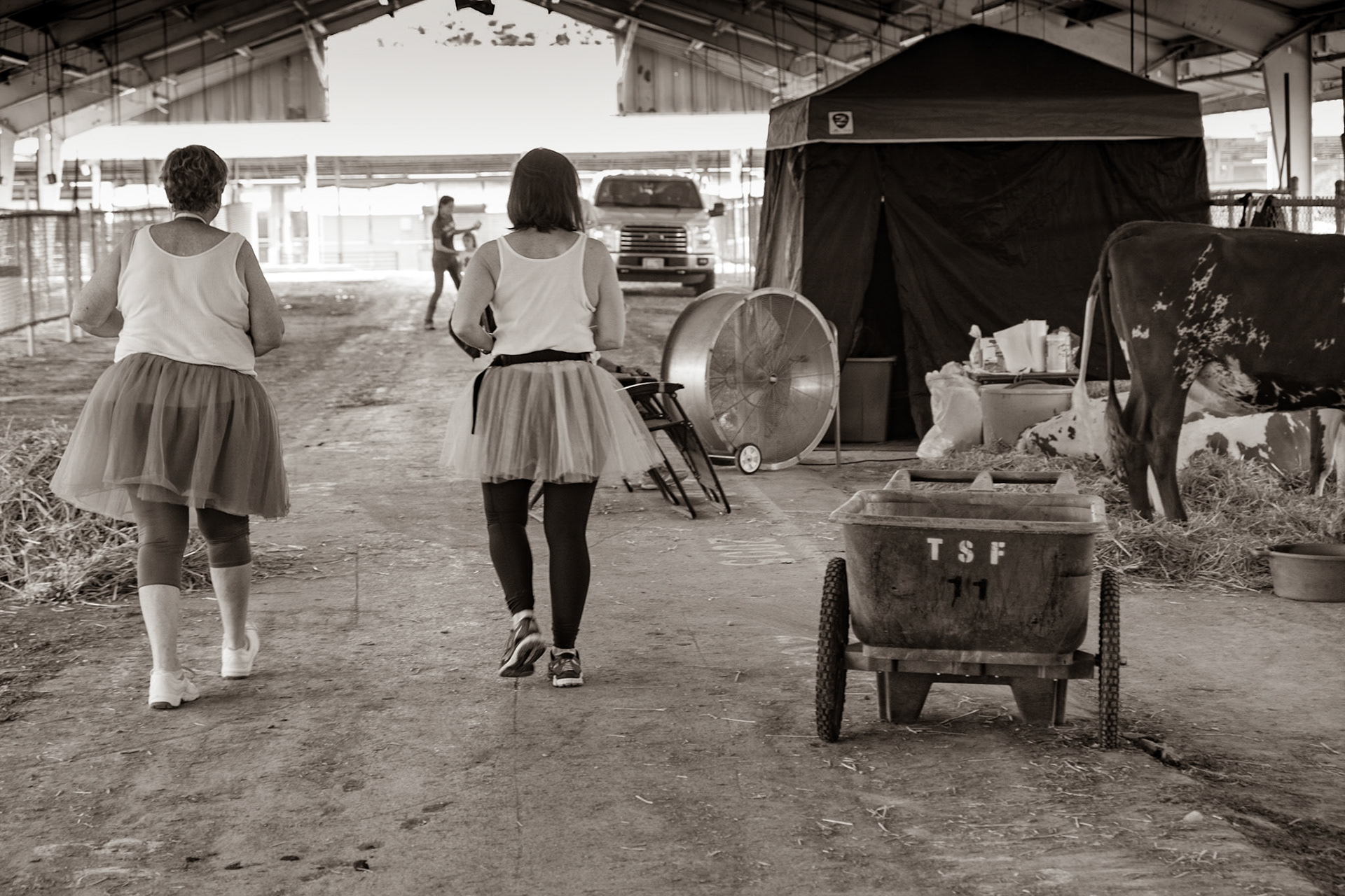 TN State Fair, Nashville