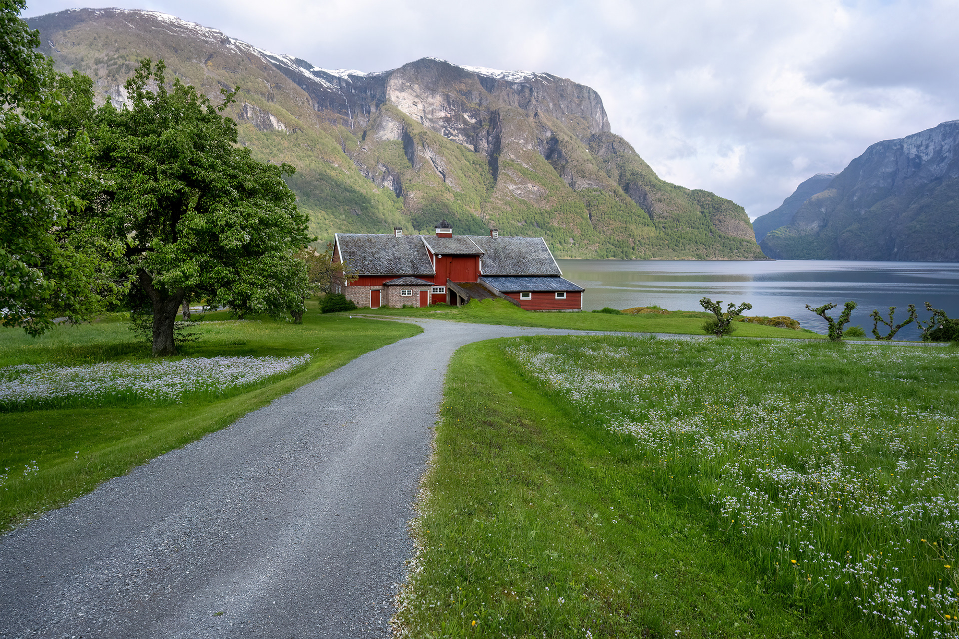 Auraland