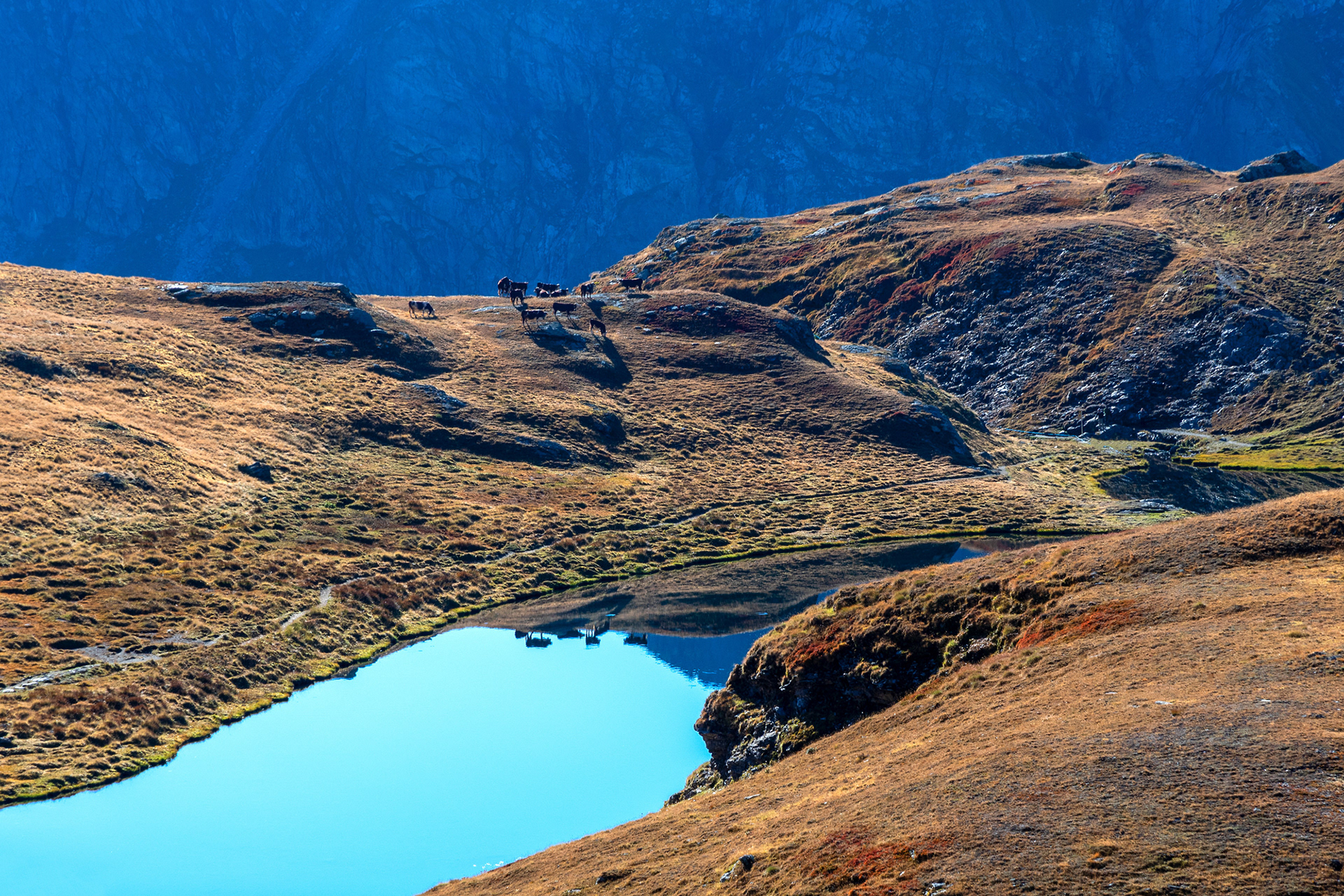 Lago della Battaglia