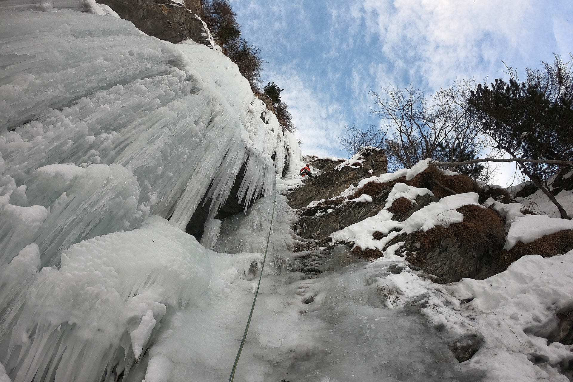 Pineta Nord - bella d'Estate