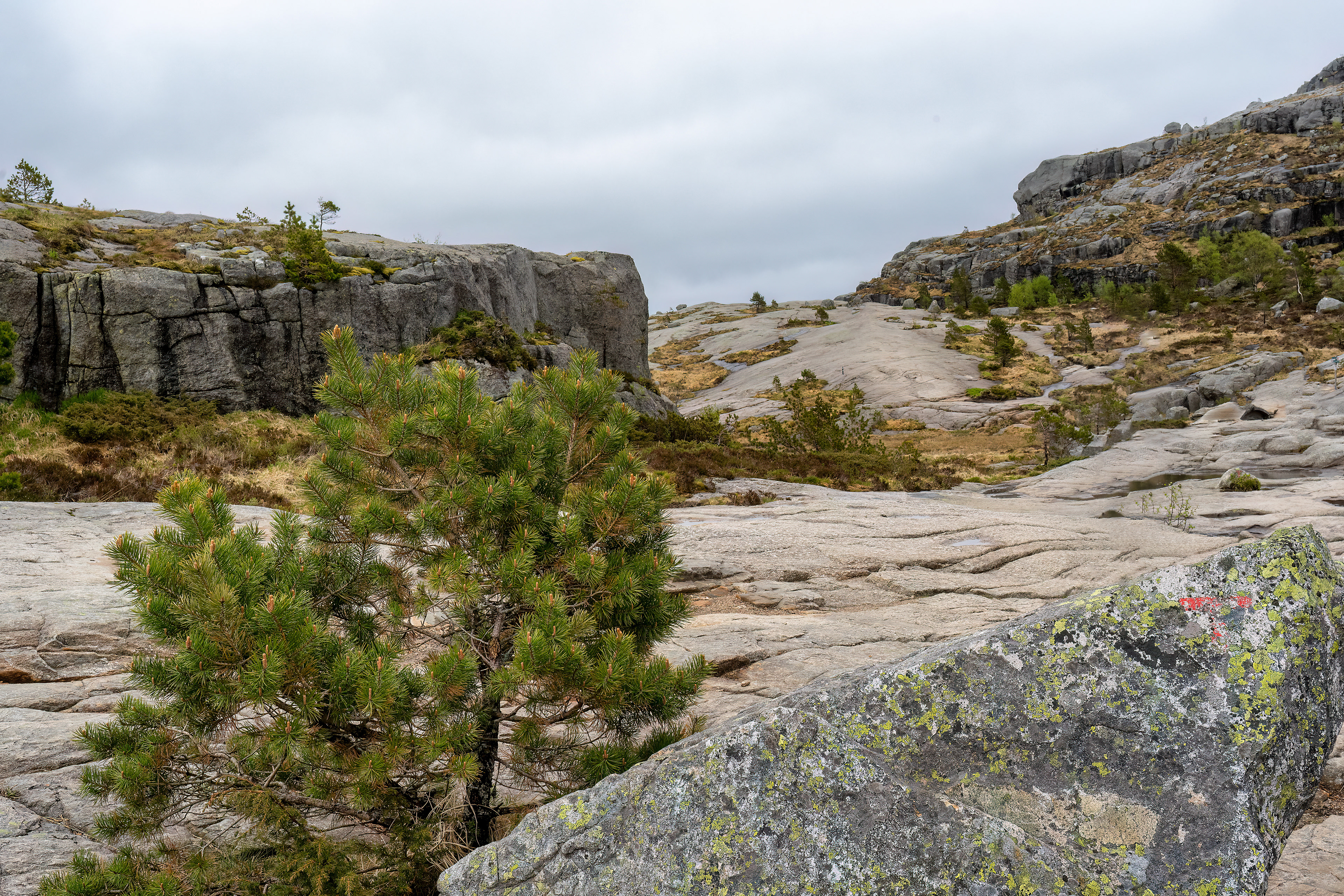 Preikestolen