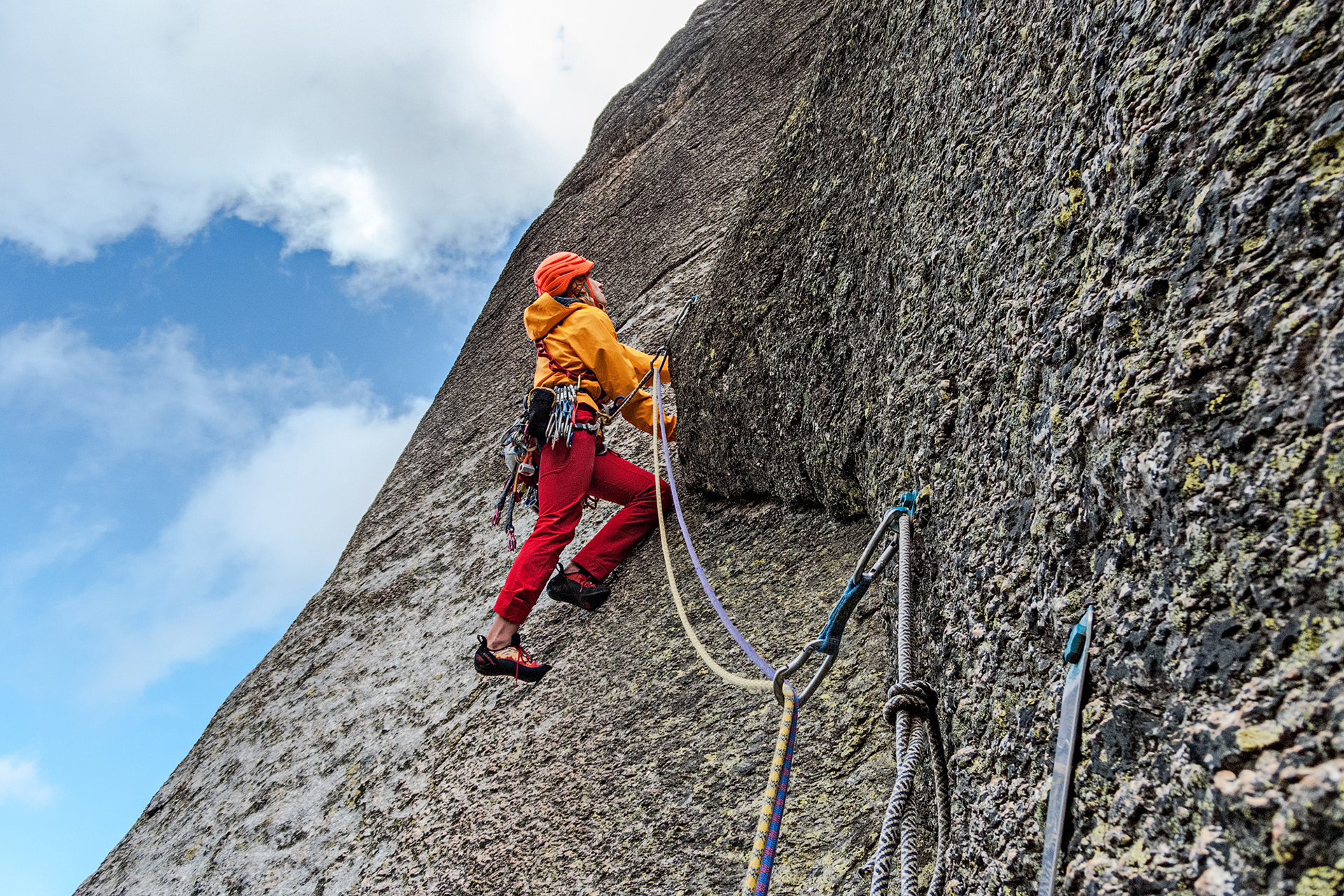 Ostanetta - Papillon