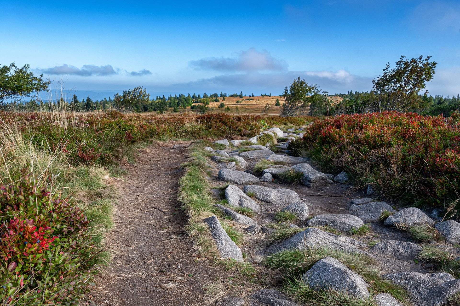 Alsazia - giro dei tre laghi
