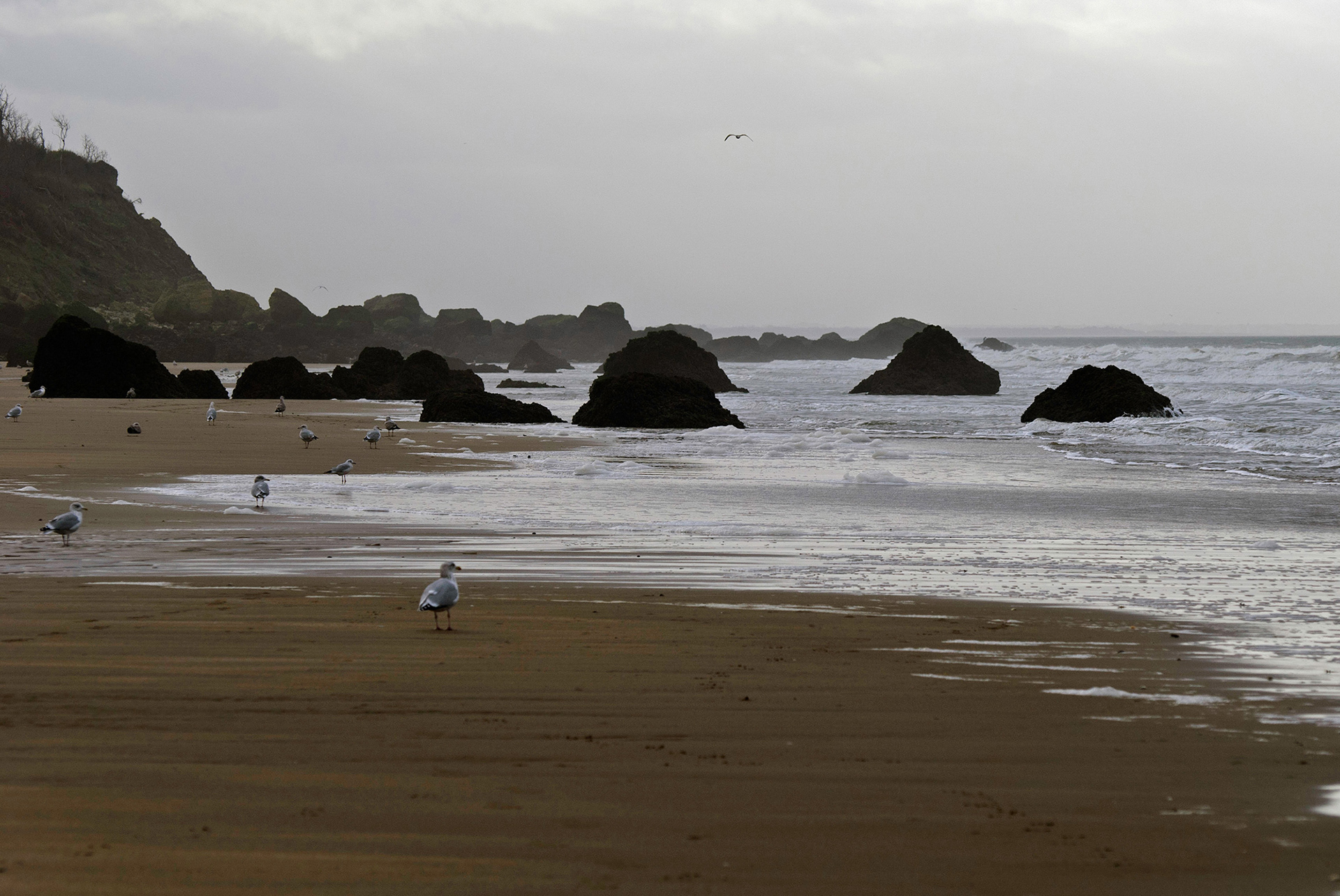 Falaise des Vaches Noires
