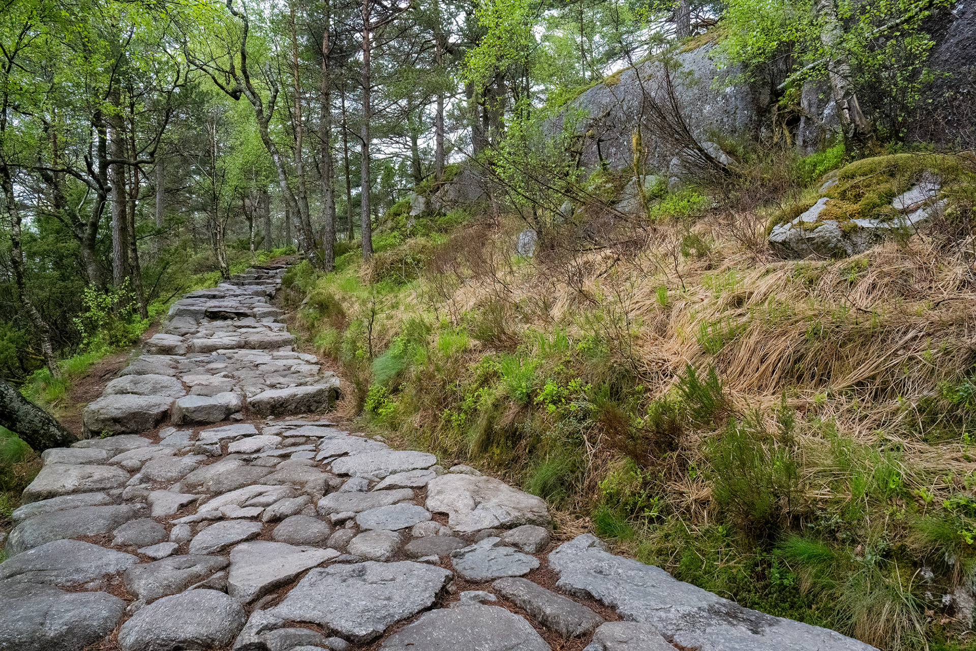 Preikestolen