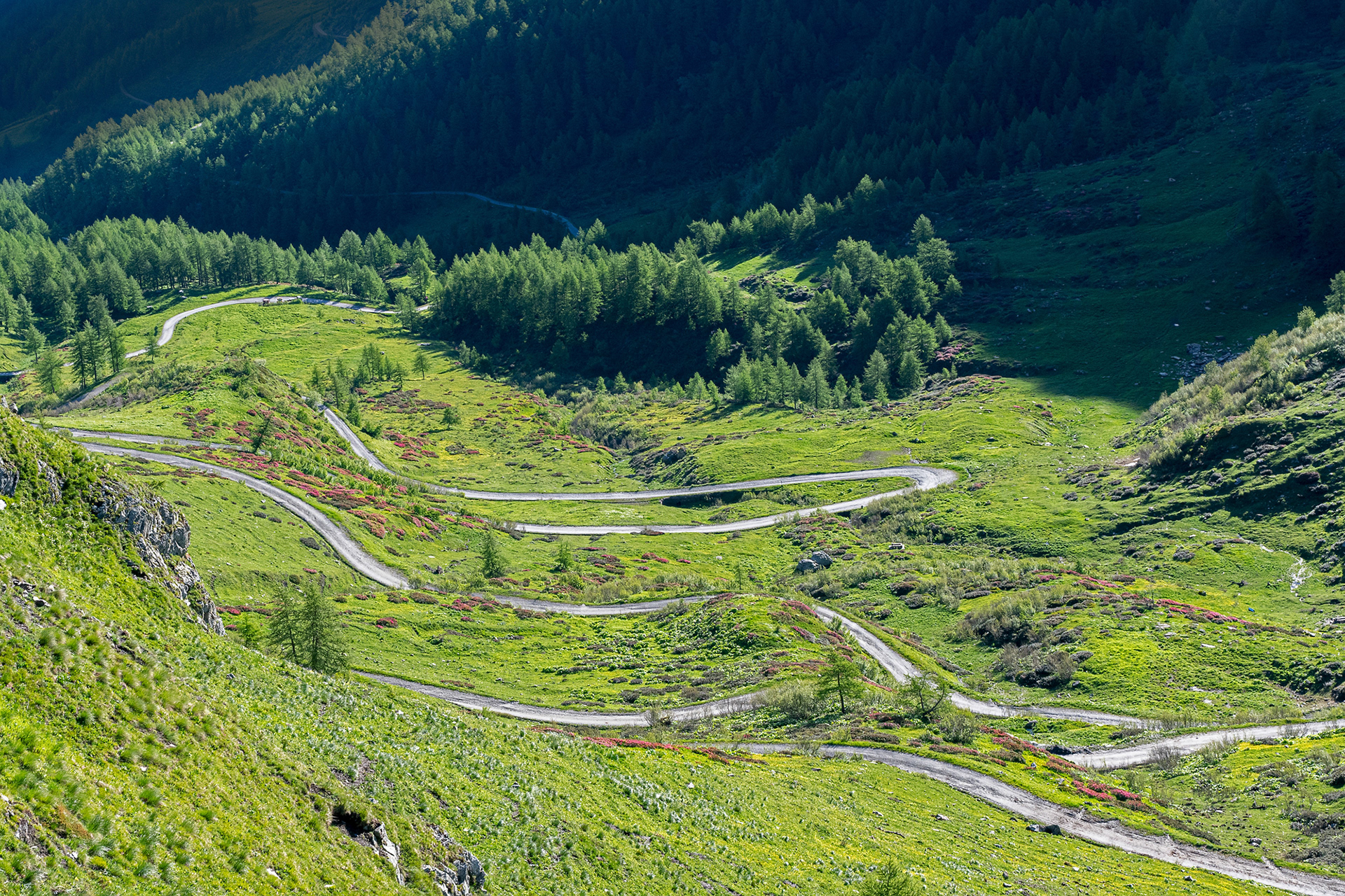 Dal colle delle Finestre