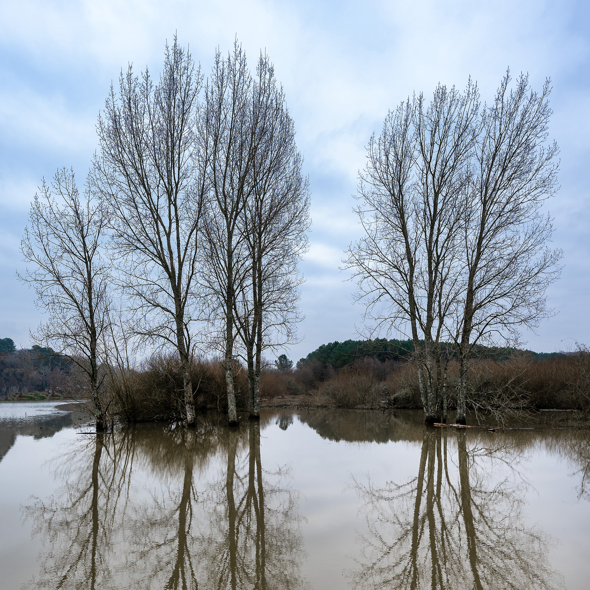 Reserv naturelle du Marais d'Orx