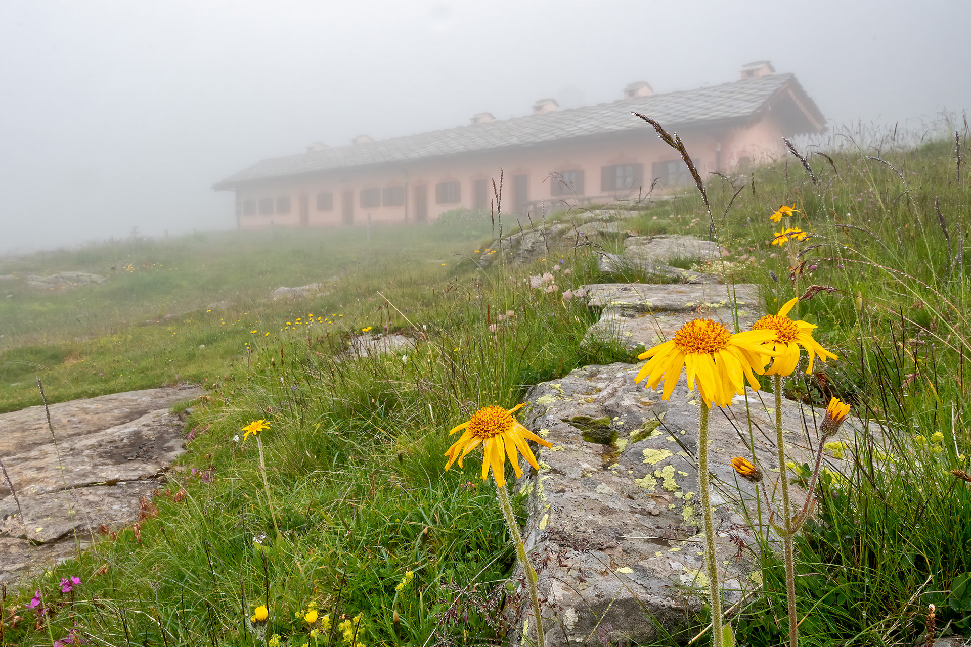Rifugio Gran Piano