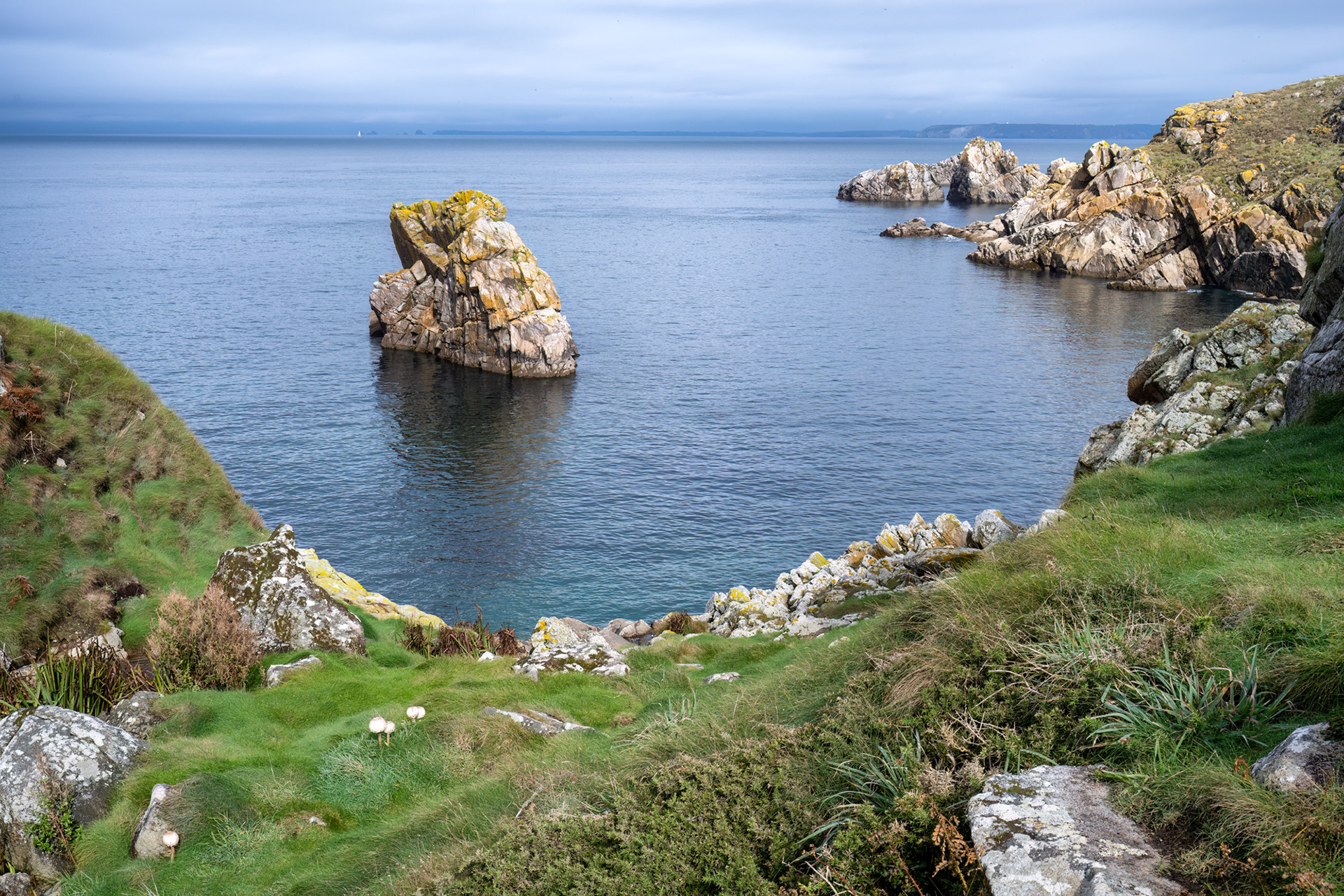 Cap Sizun - mazza di tamburo