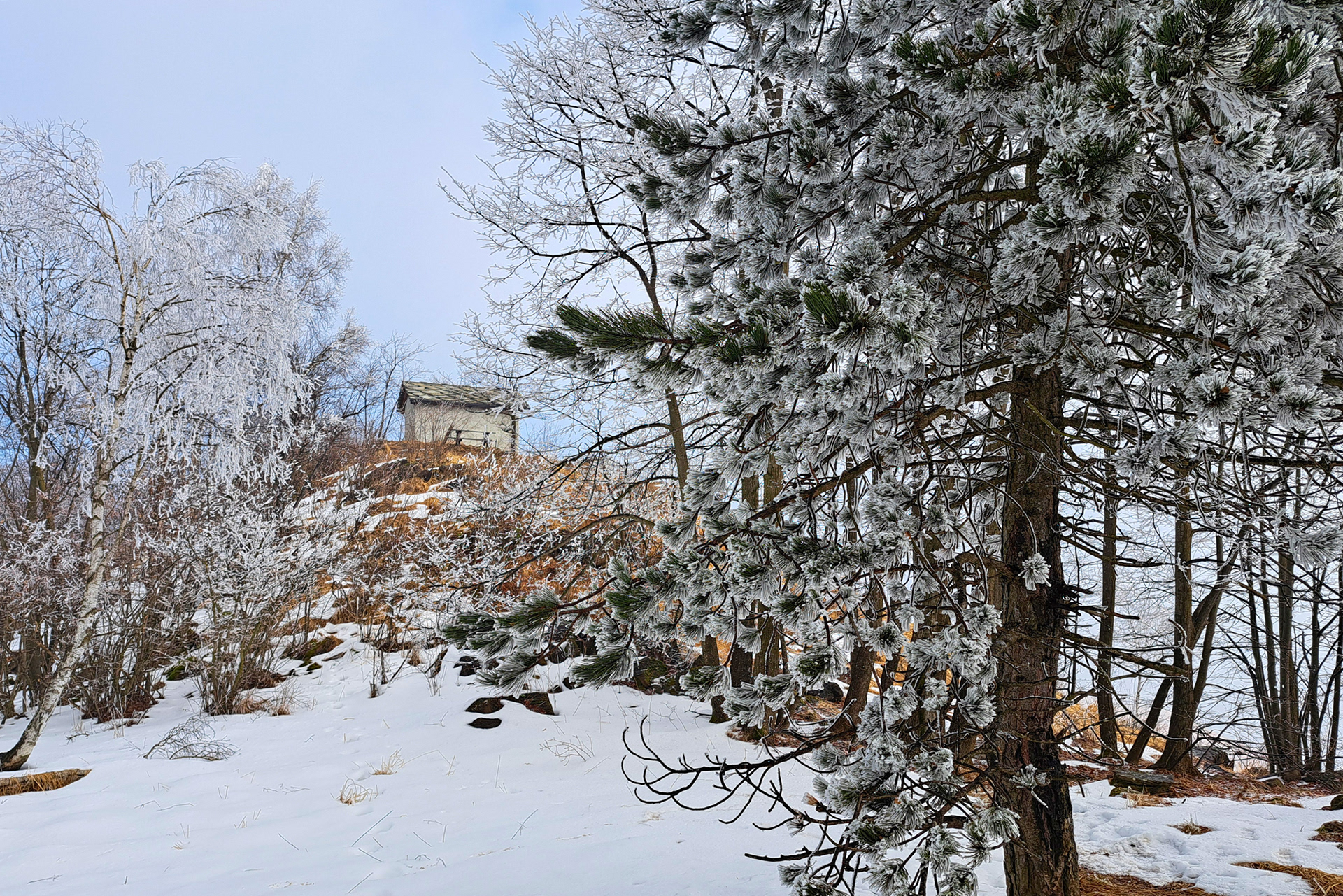 Madonna della neve (Monte Lera)