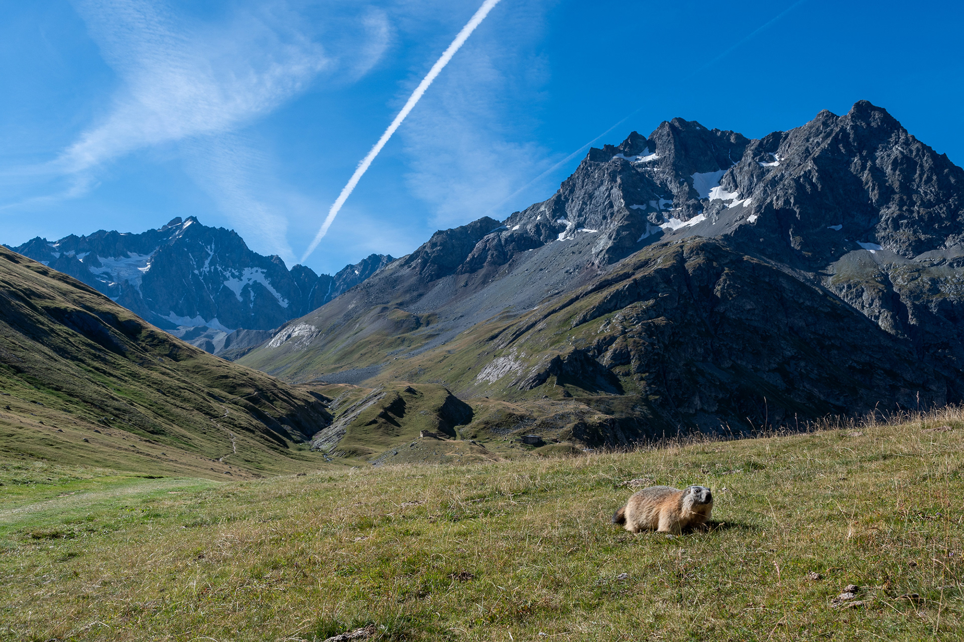 Montagne des Agneaux - marmotta