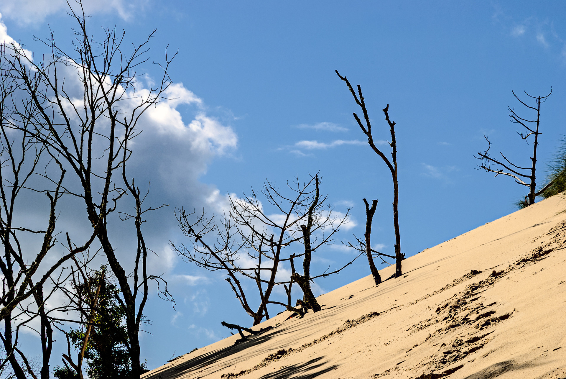 Dune du Pilat