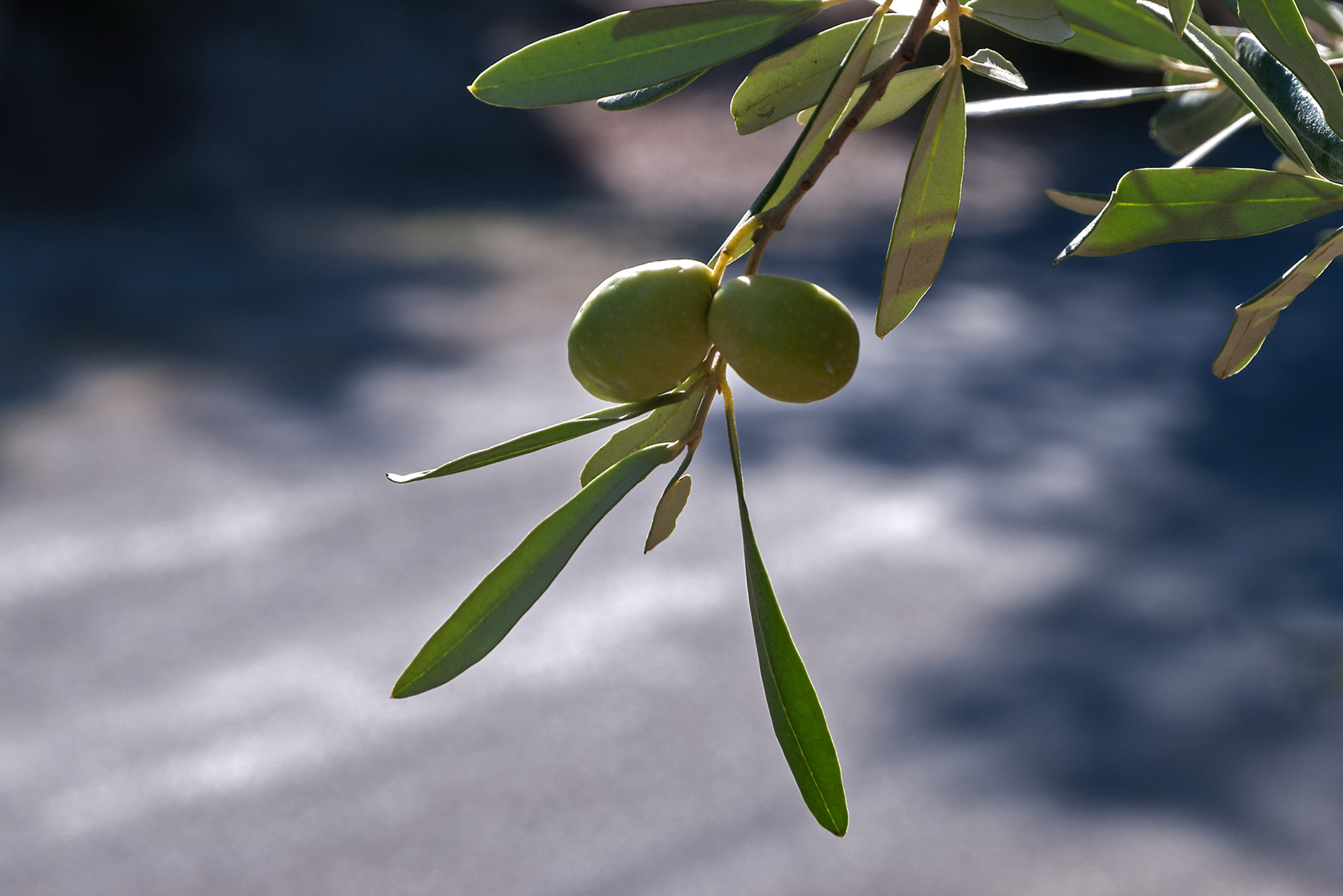 Les Caisses de Jean-Jean