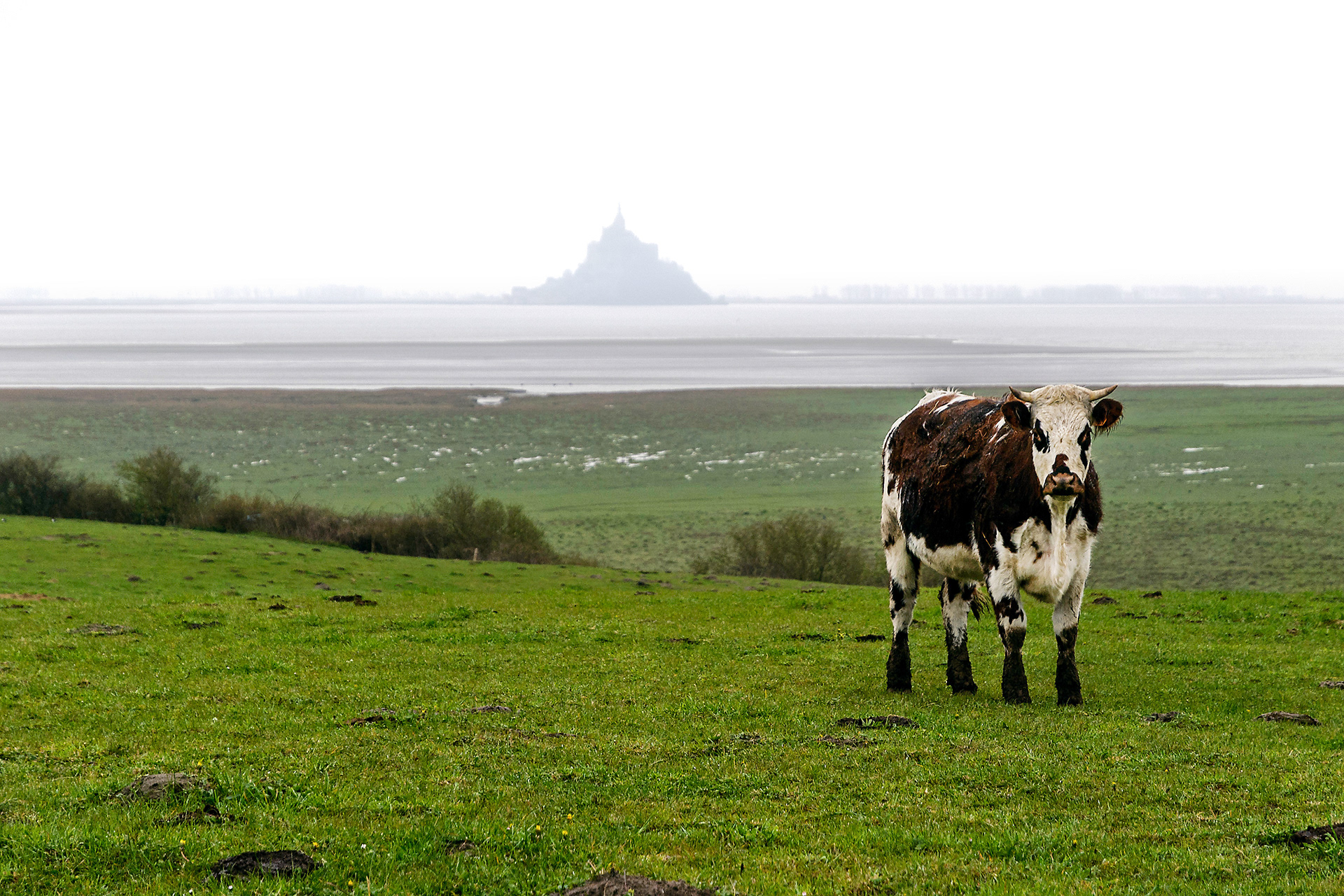 Mont-St-Michel