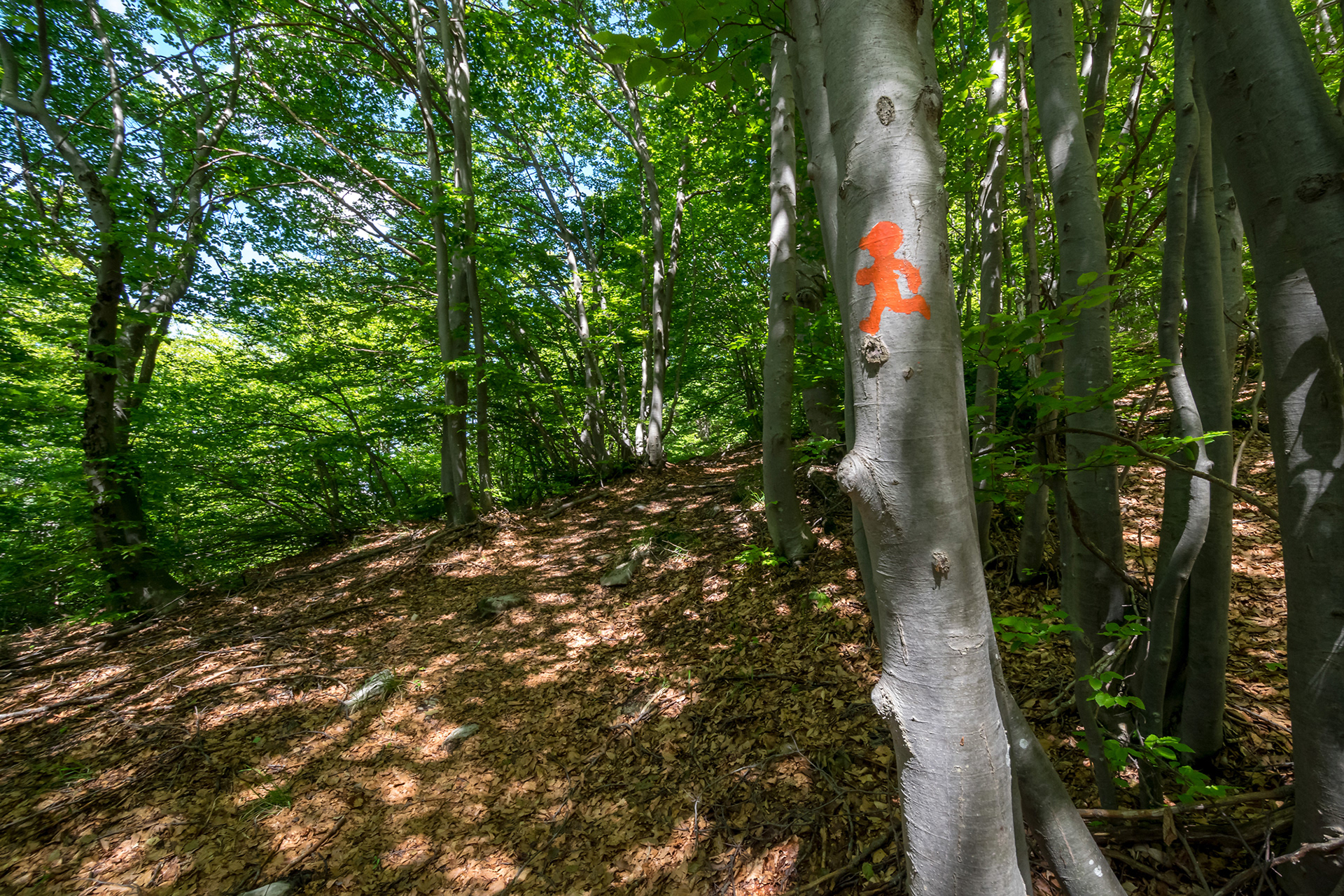 Sentiero Valerio Tassone