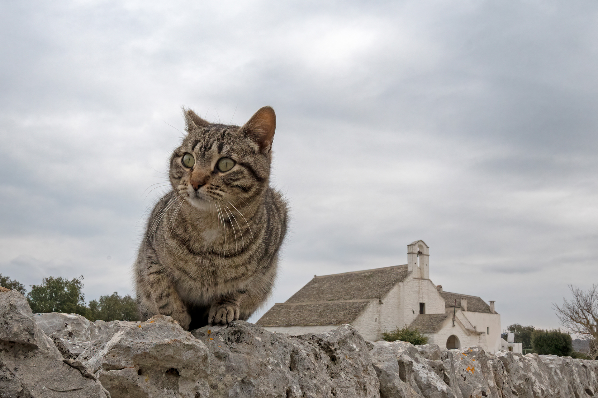 Chiesa di San Pietro in Barsento