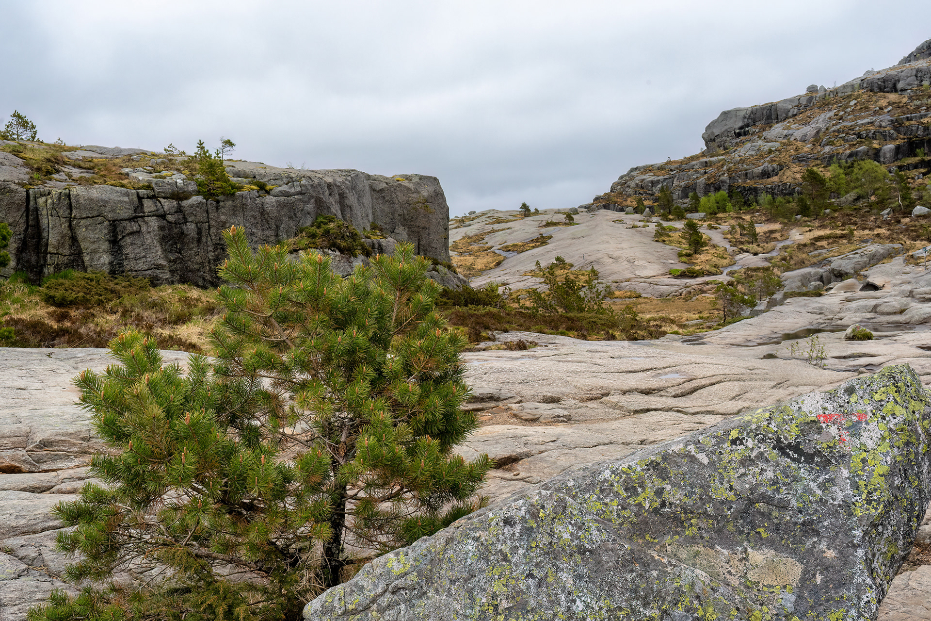Preikestolen