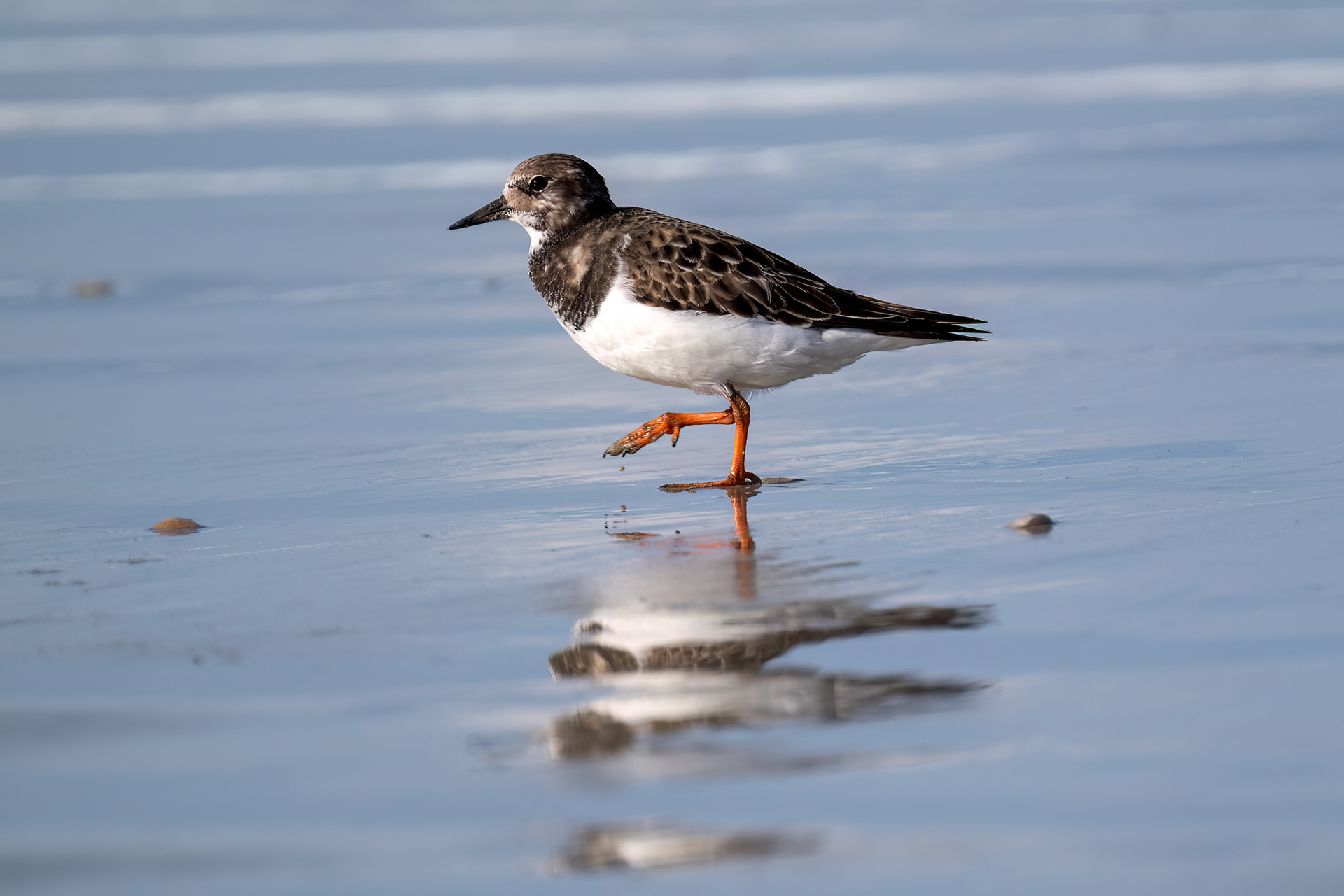 Pointe de la Torche - Voltapietre