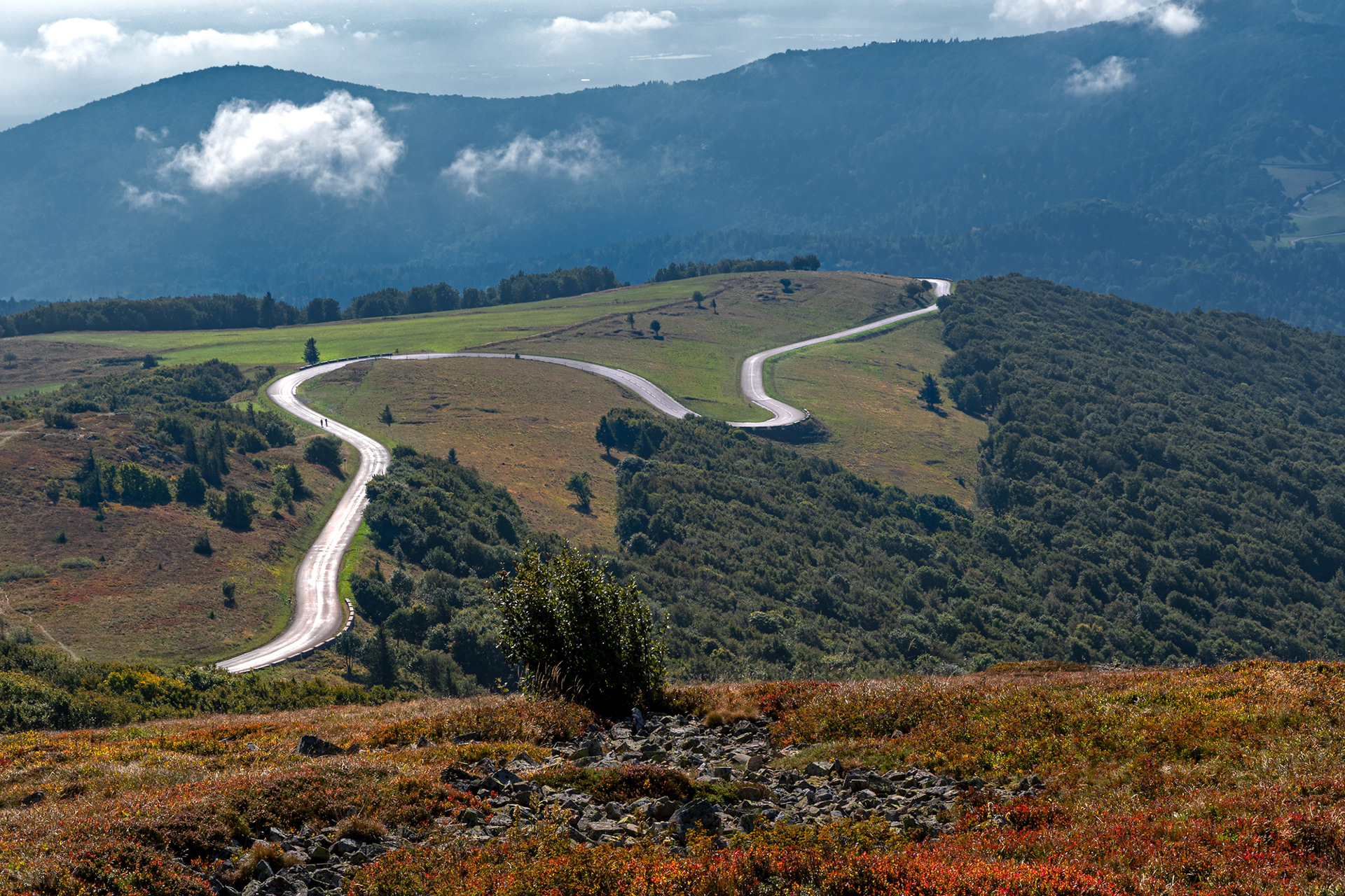 Alsazia - verso il Grand Ballon