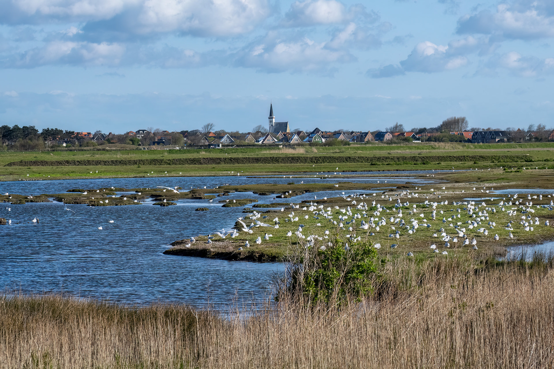 Den Hoorn