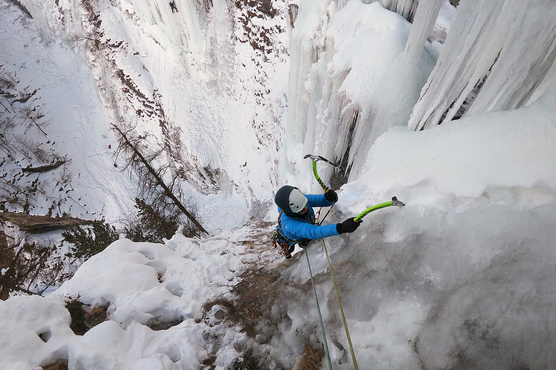 Pineta Nord - bella d'Estate