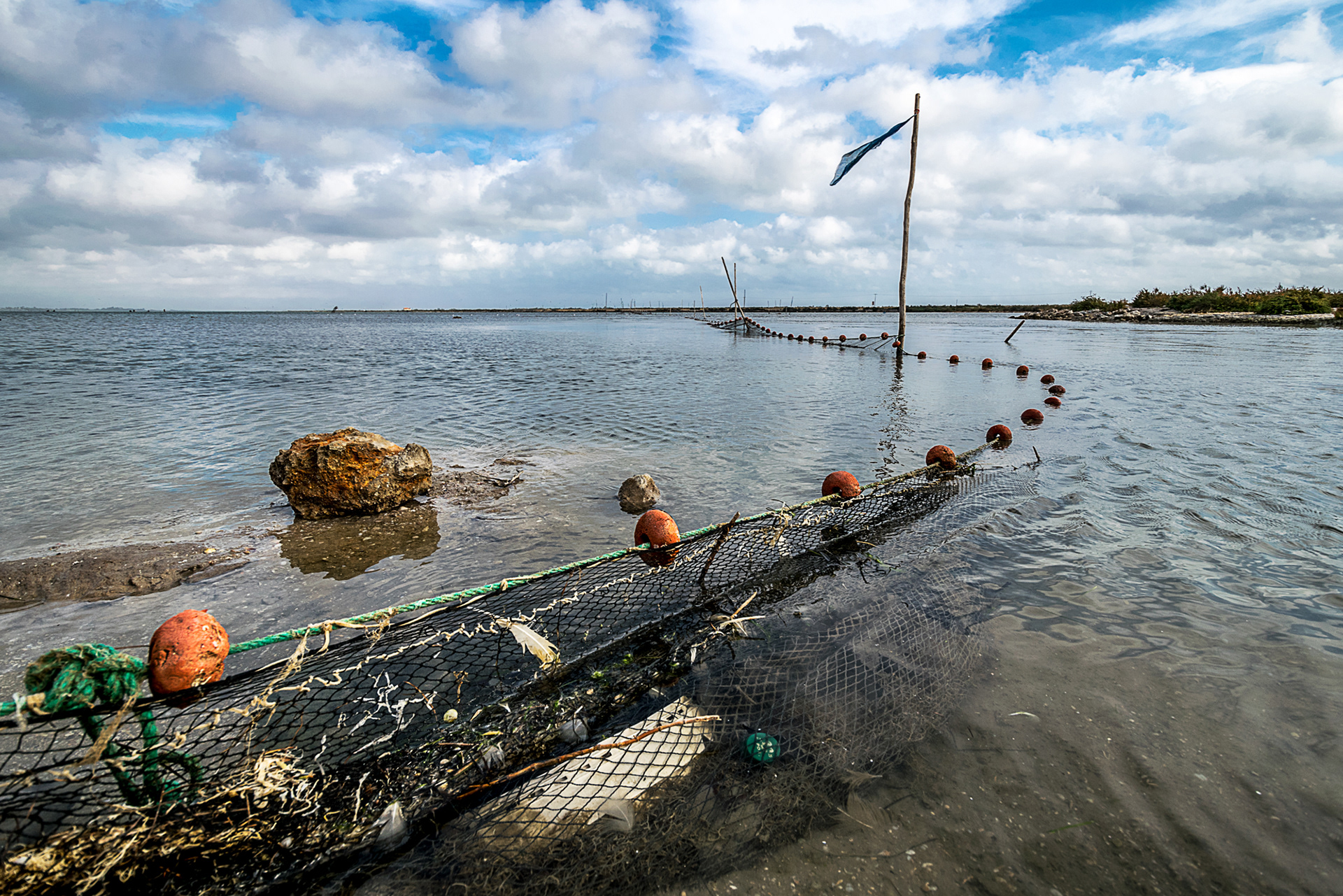 Herault - Les Aresquires